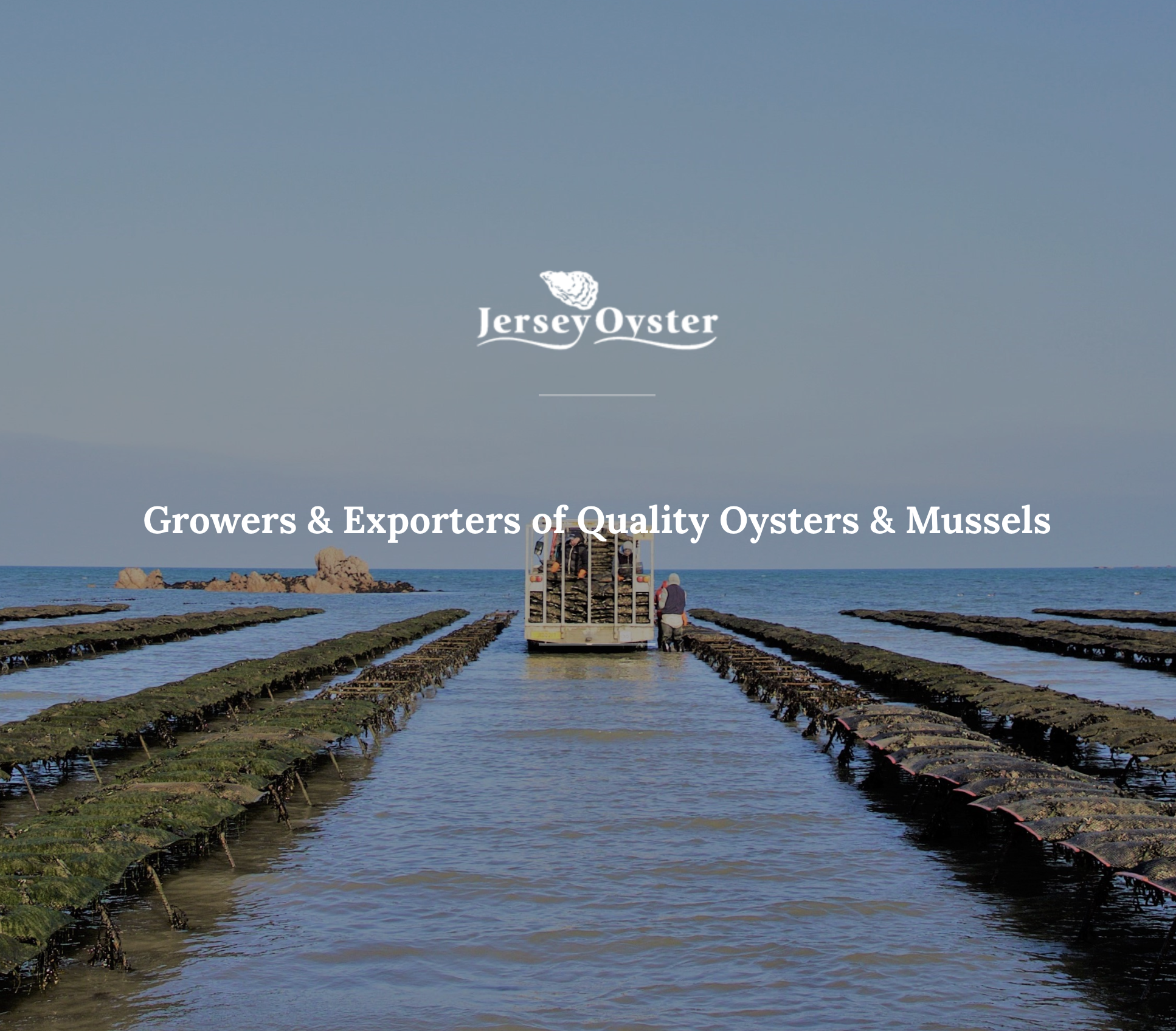 Screenshot 2024-10-03 at 12.11.18.png