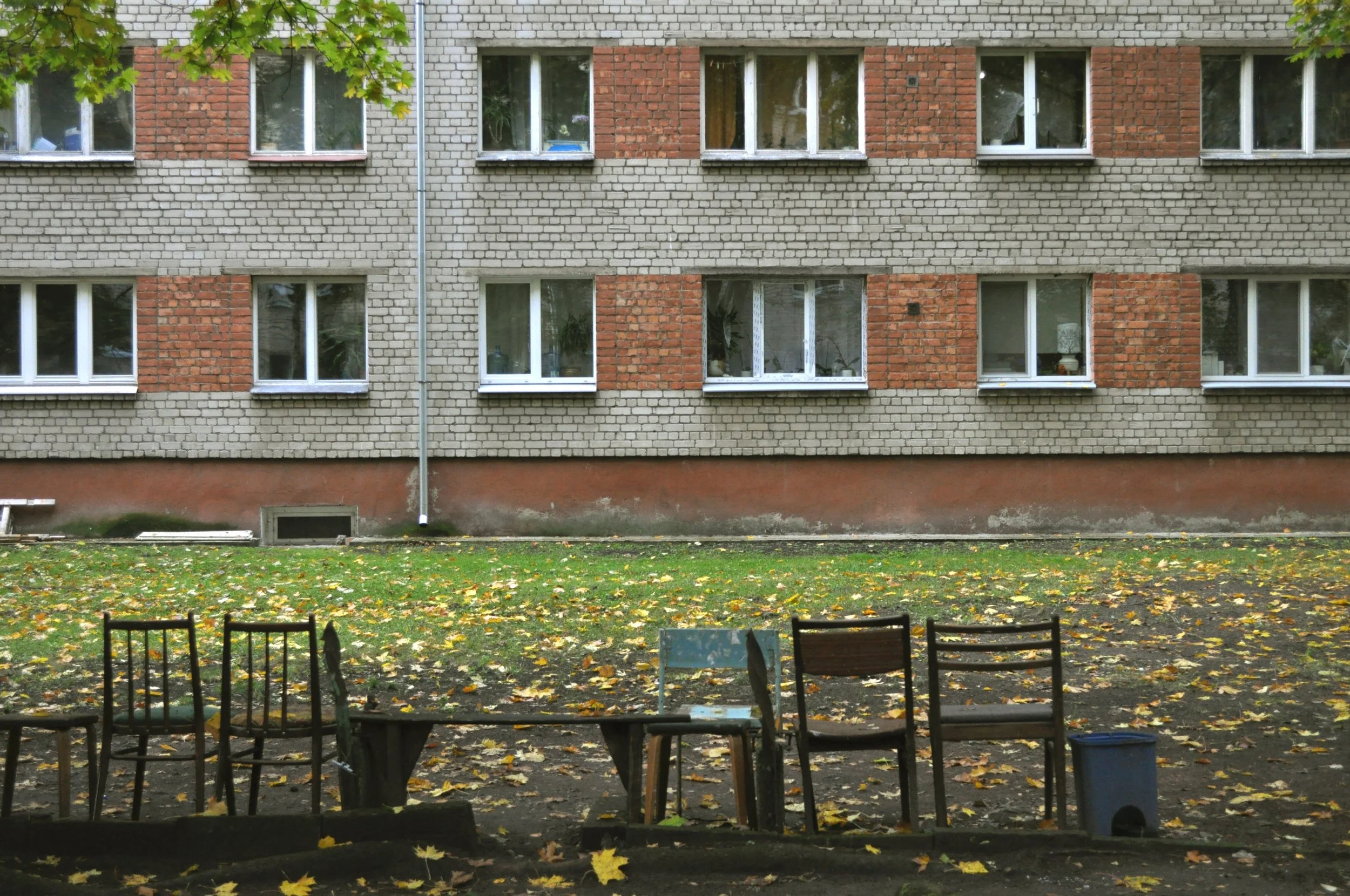 06.jpg