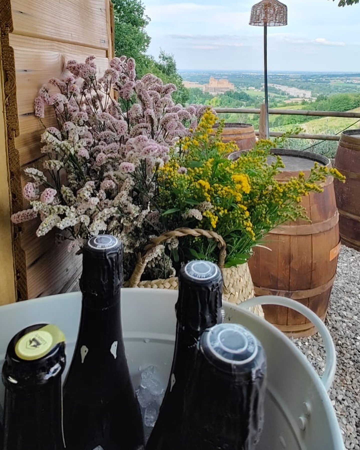 Bottiglie di vino in un secchio con ghiaccio, fiori decorativi e vista panoramica sulla campagna con botti di legno.