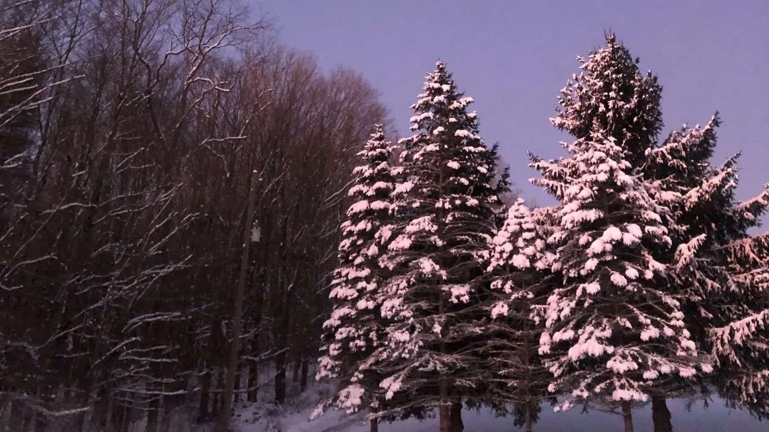 snow+moon.jpg