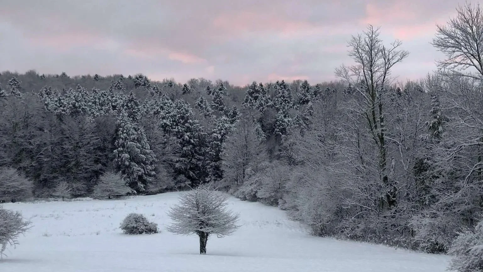 snow.jpg