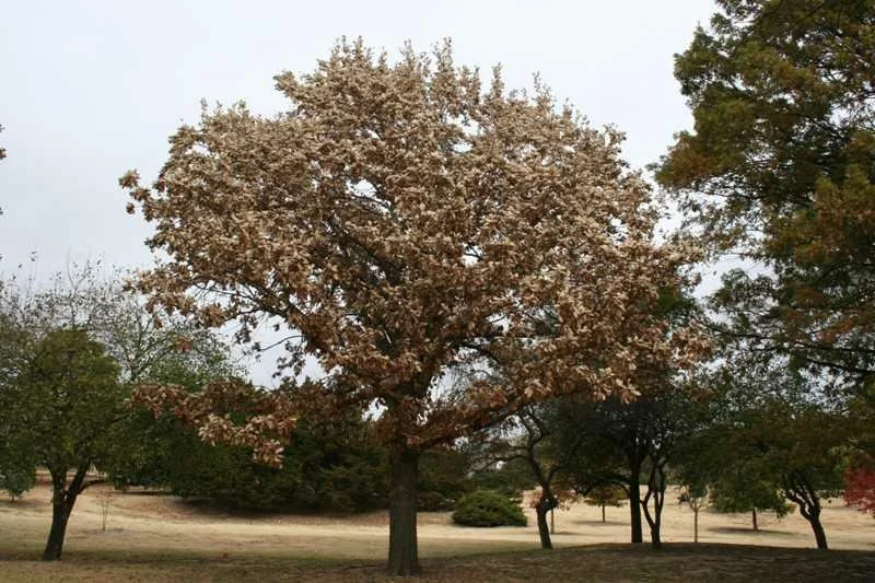 15977_C139-0222080js (1).jpg