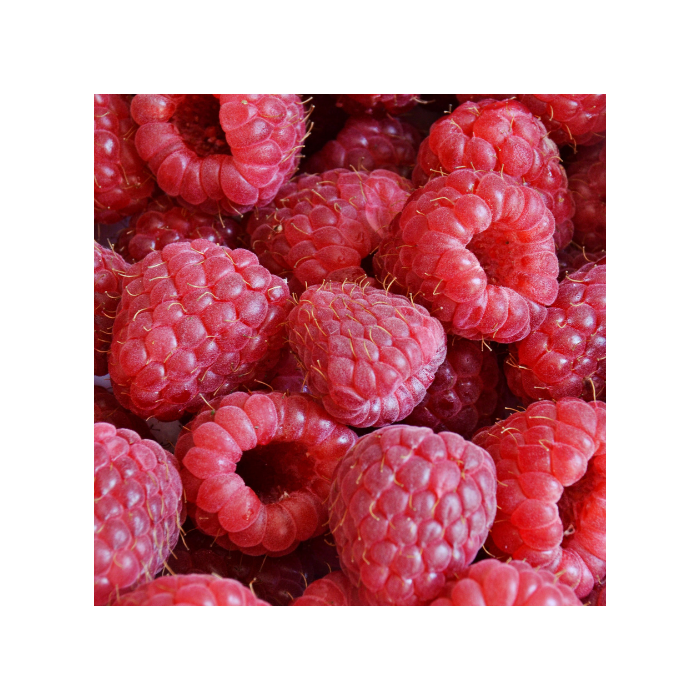 Raspberry 'Nova Red'