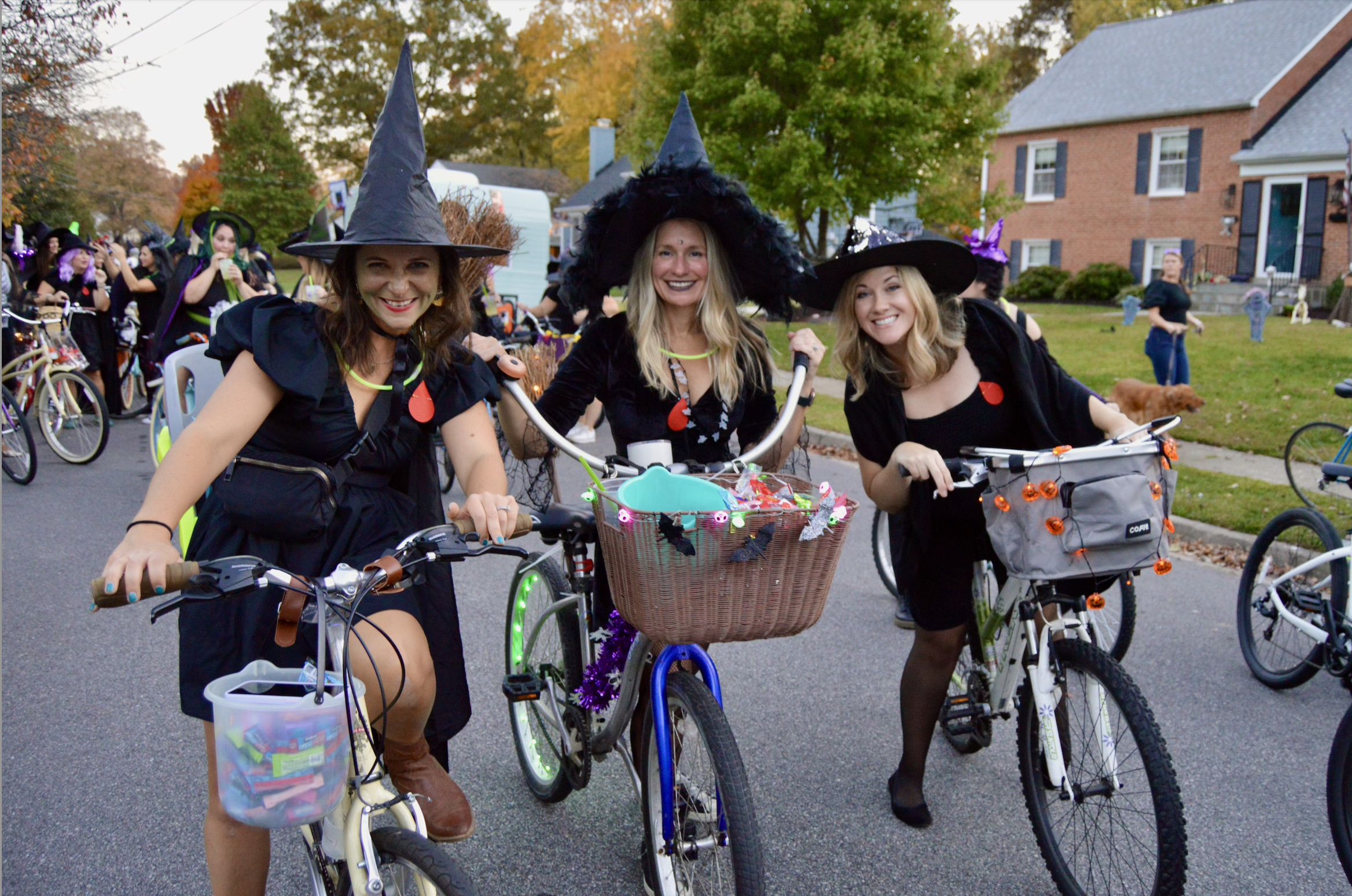 Screenshot 2024-08-27 at 2.12.38 PM.png