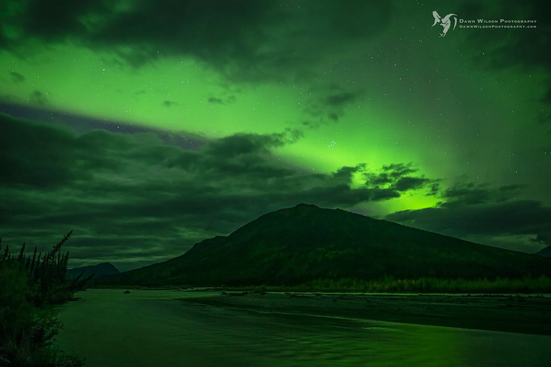 Northern lights above the Dalton Highway near Wiseman, Alaska.