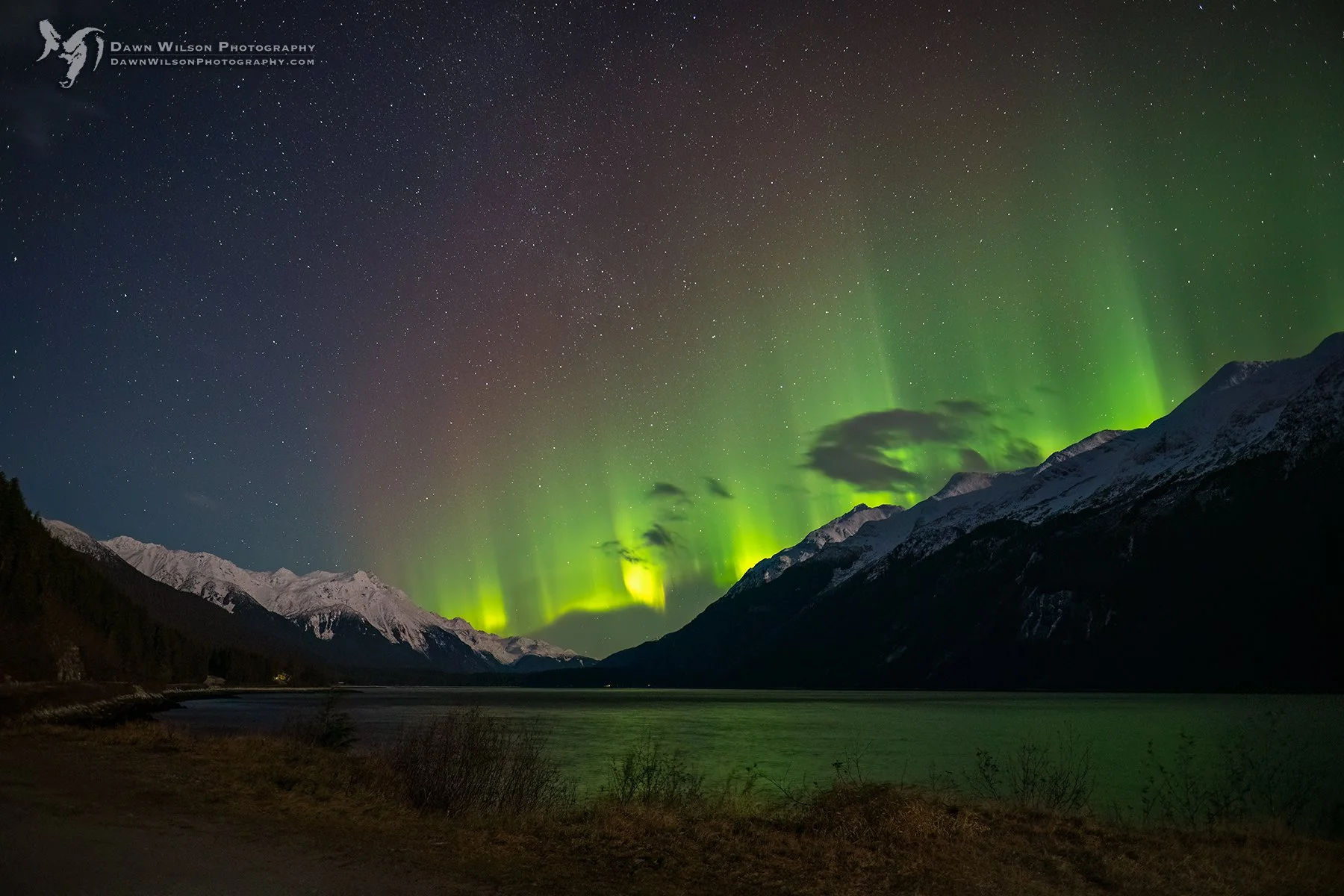 northern lights above a lake in southeastern Alaska