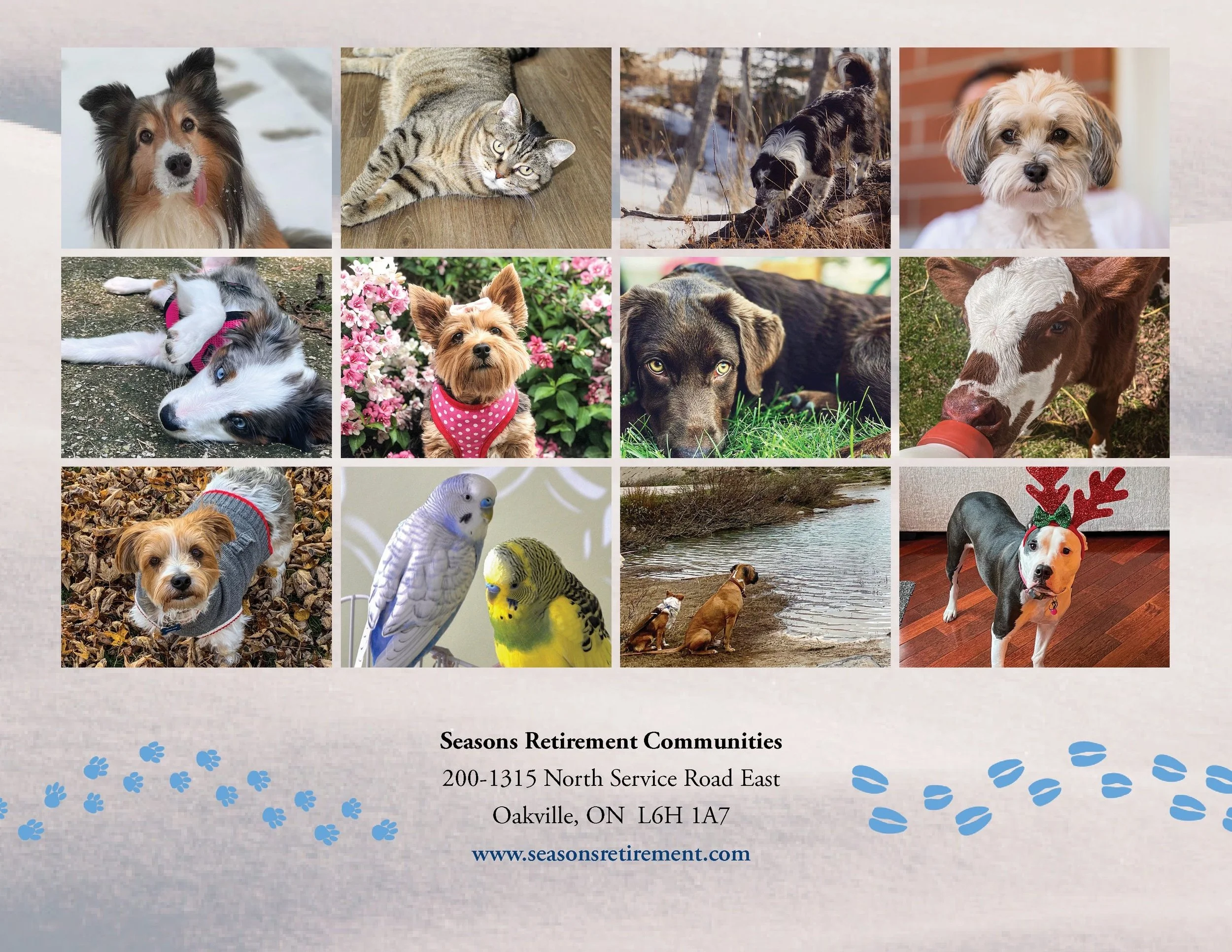 SRC-Resident-Pet-Calendar-2023.jpg
