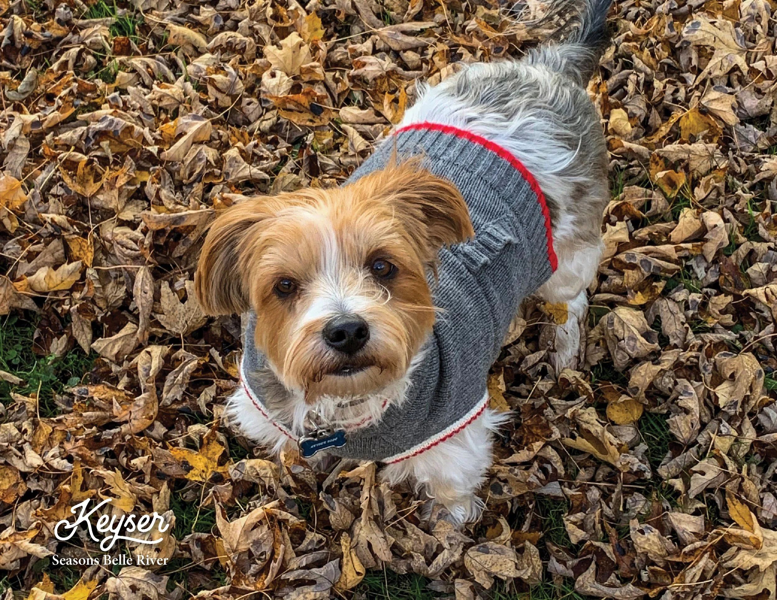 SRC-Resident-Pet-Calendar-202319.jpg
