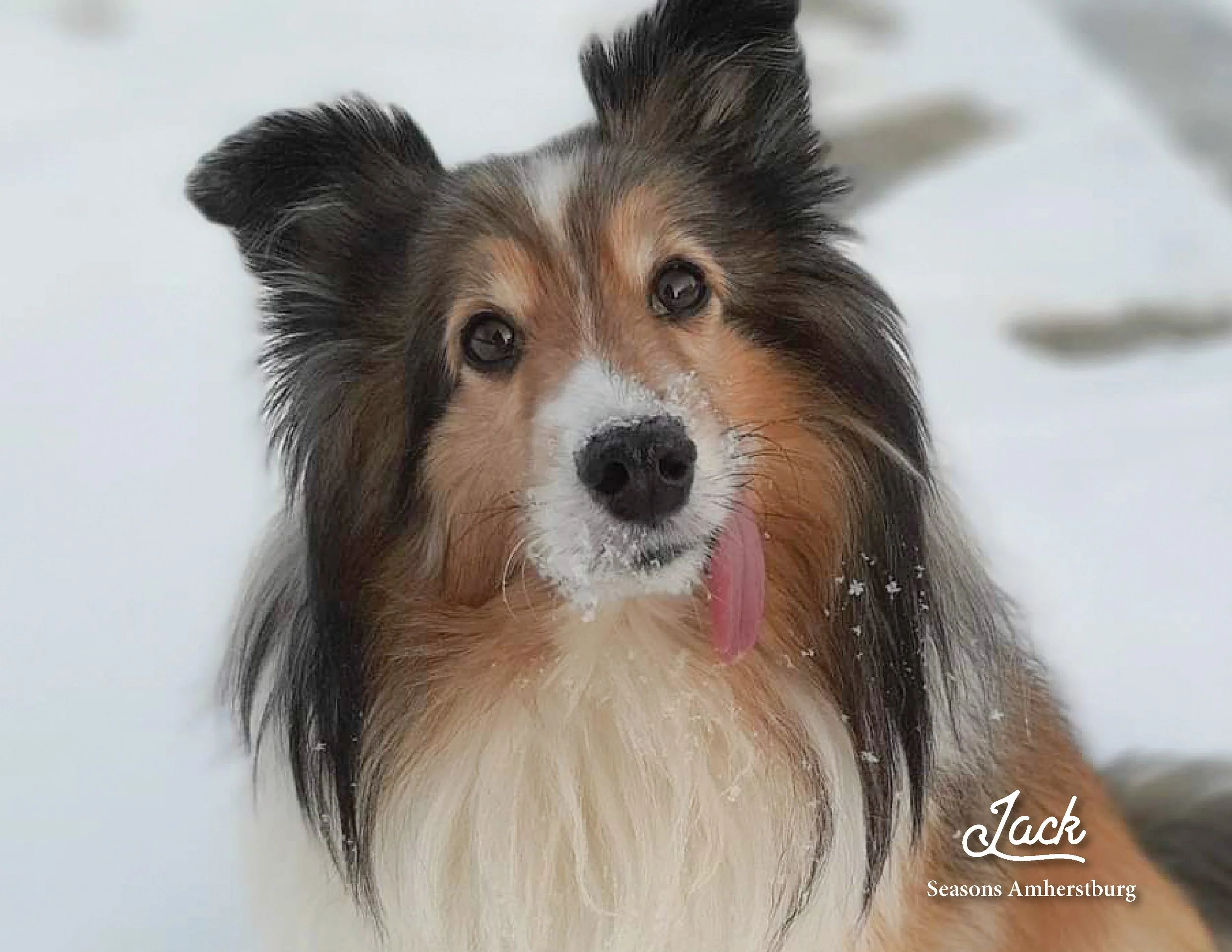SRC-Resident-Pet-Calendar-20233.jpg