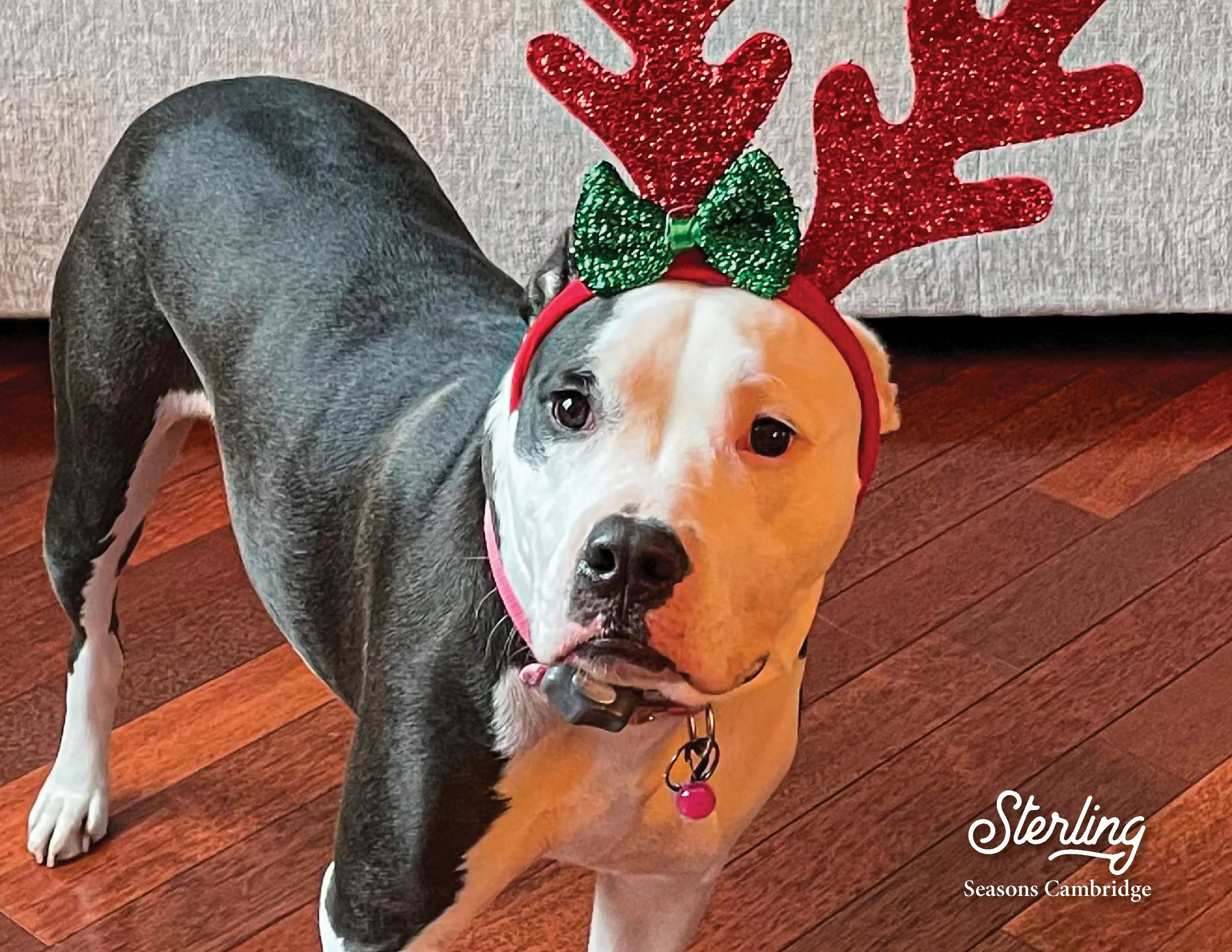 SRC-Resident-Pet-Calendar-202325.jpg