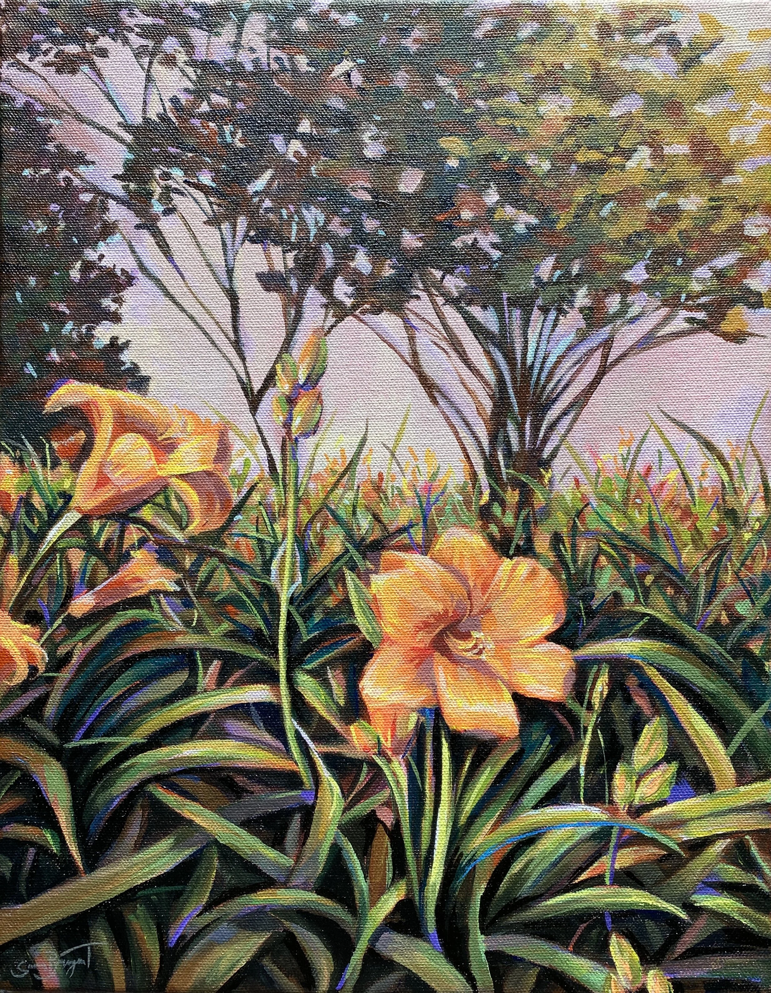 LSU Daylilies
