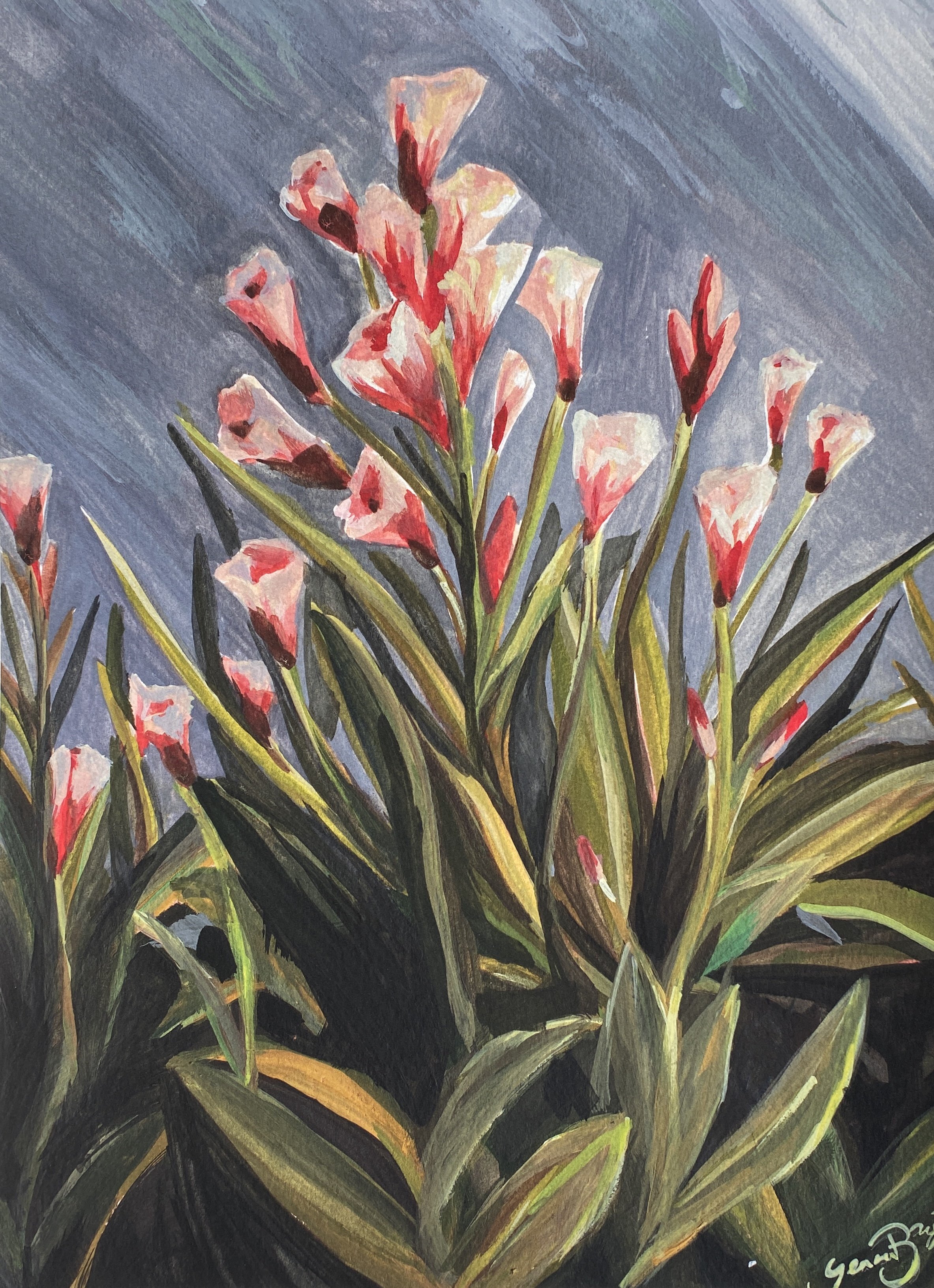 pheonix-oleanders-print-senea-bryan.jpg