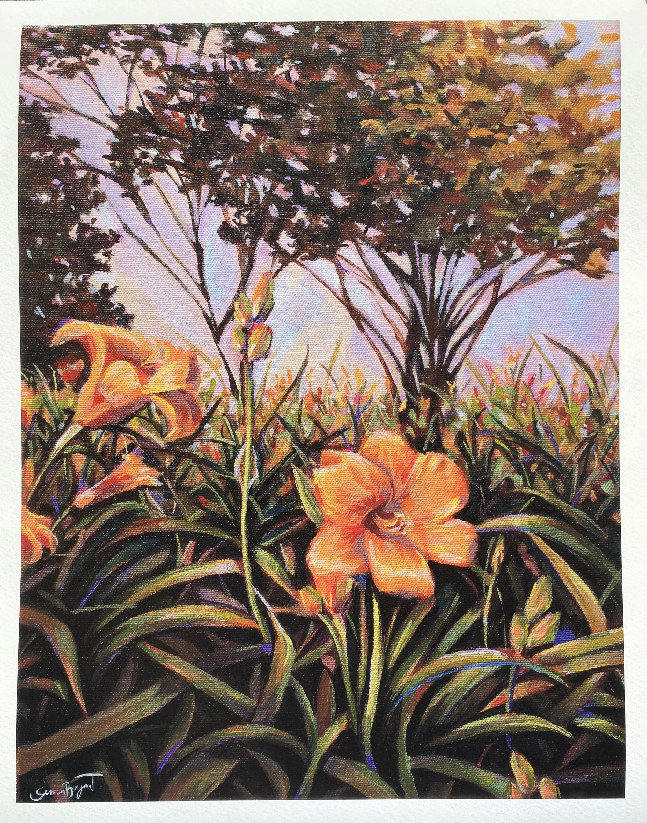 LSU-Daylilies-border.jpg