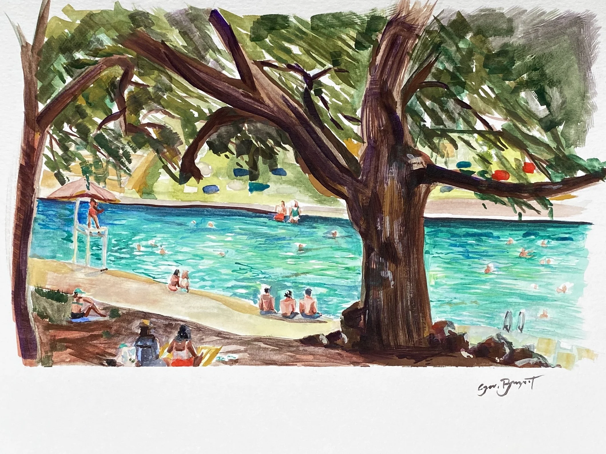 Barton_Springs_in_June.jpg