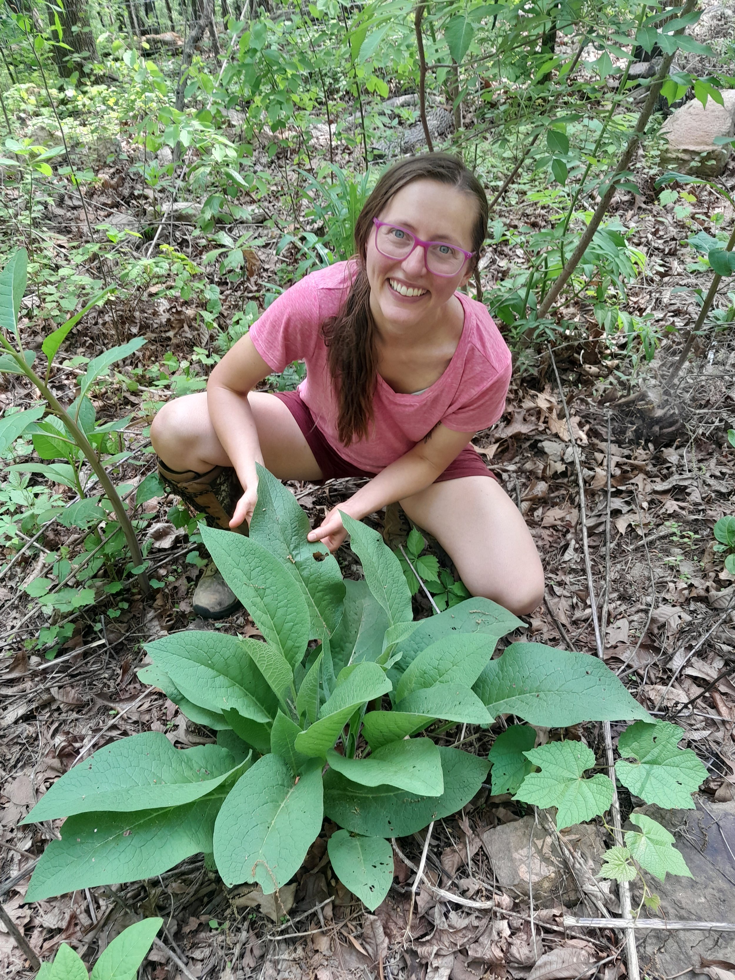 Here I am, oh SO giddy about this Comfrey that my hubby grew from seed! Comfrey is a wonderful medicinal plant, and a powerful NATURAL fertilizer for the garden.