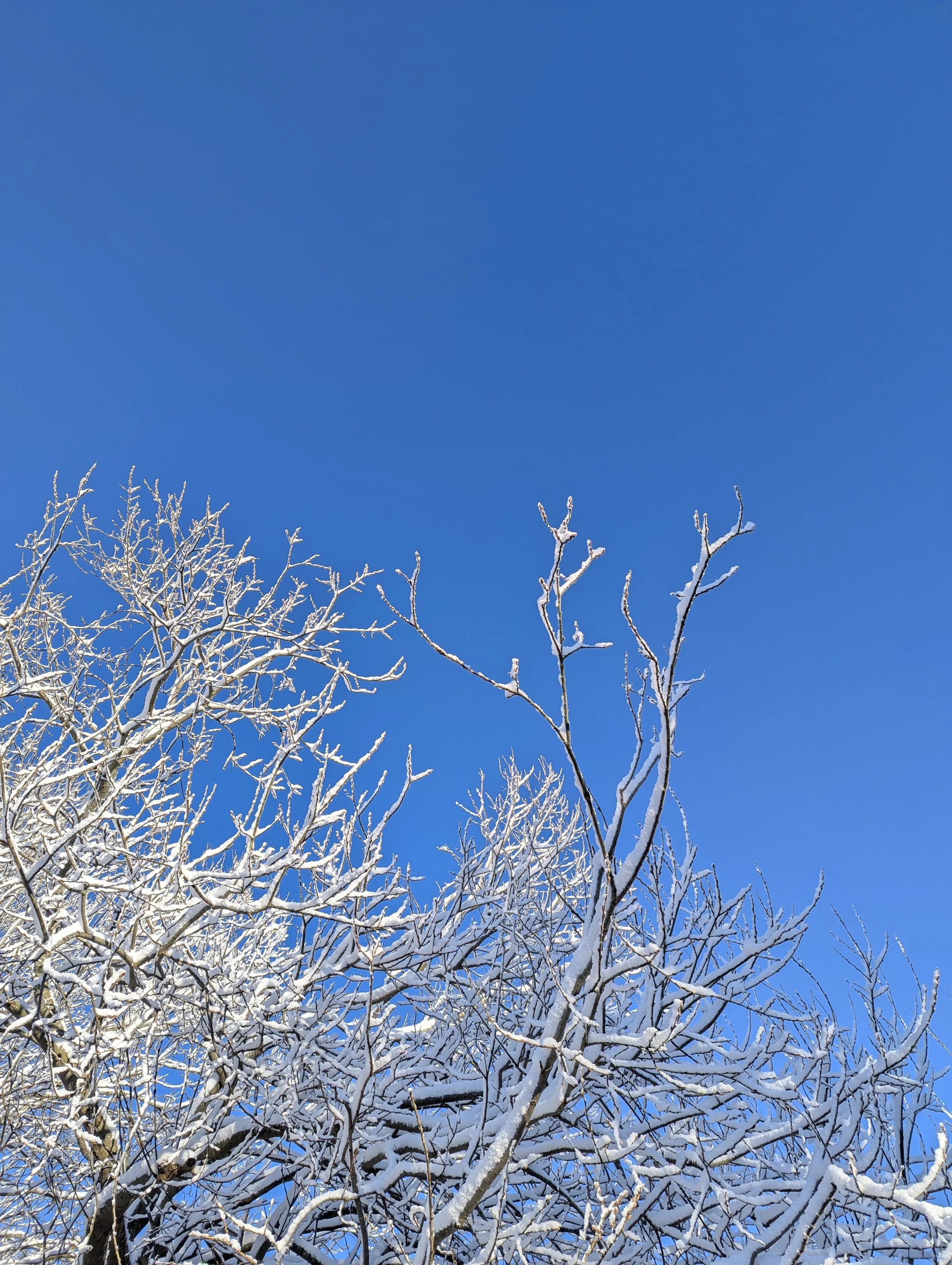 Seasonal Living - Surviving January