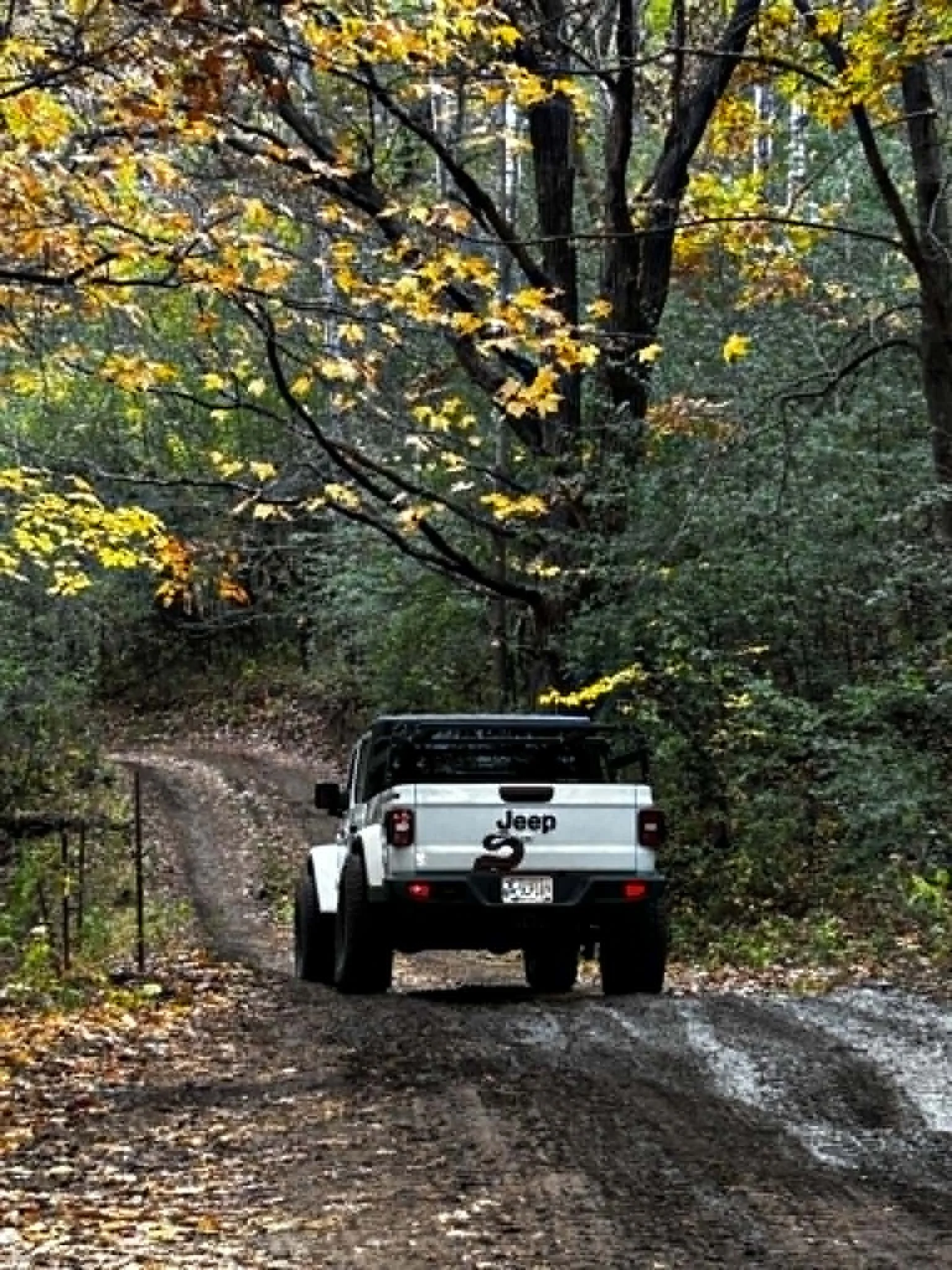 Jeep Gladiator on a wooded fall trail in Minnesota — Mill City Synthetics AMSOIL dealer Woodbury MN