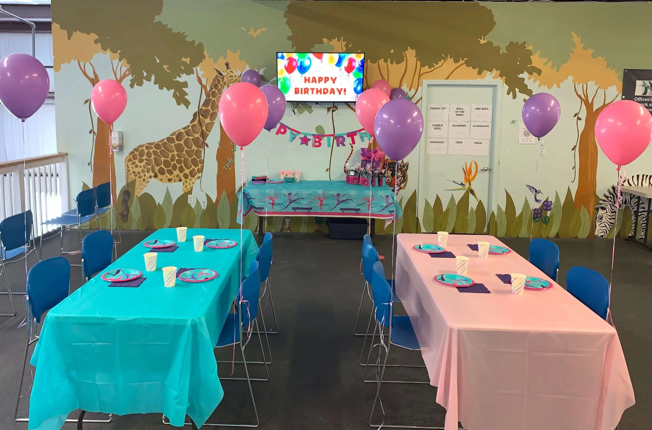 First State Gymnastics birthday party room set up with decorations in middletown Delaware facility
