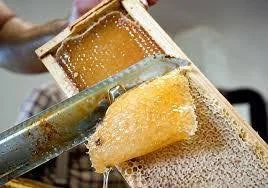honey frame.jpg