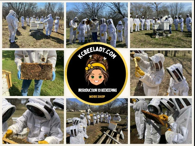 Introduction to Beekeeping Workshop.jpg