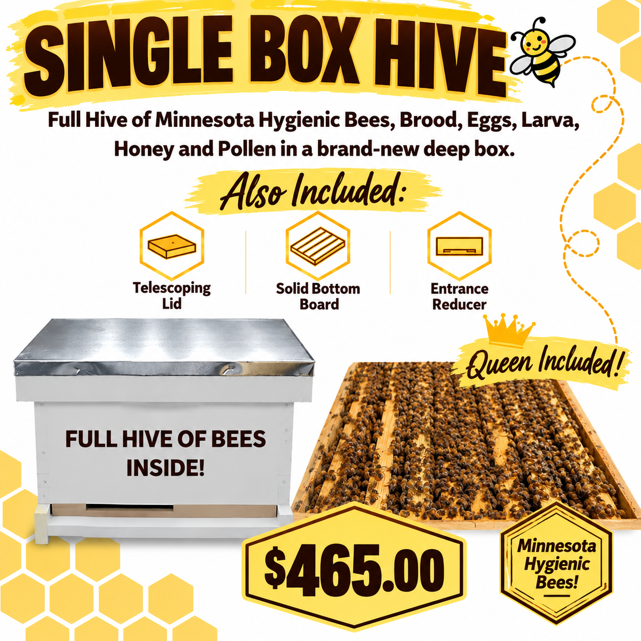 2027 Single Box Hive .png