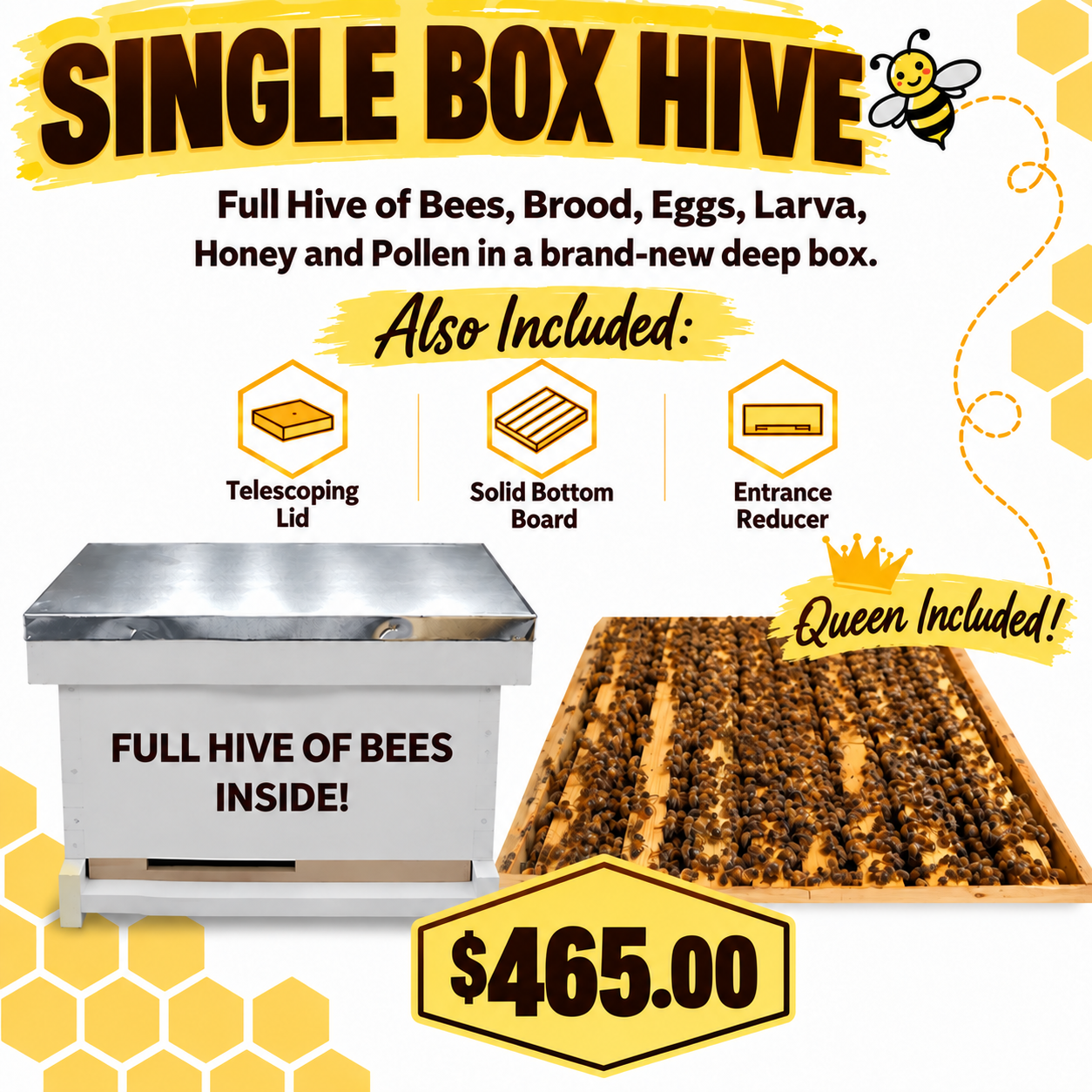 Single Box Hive