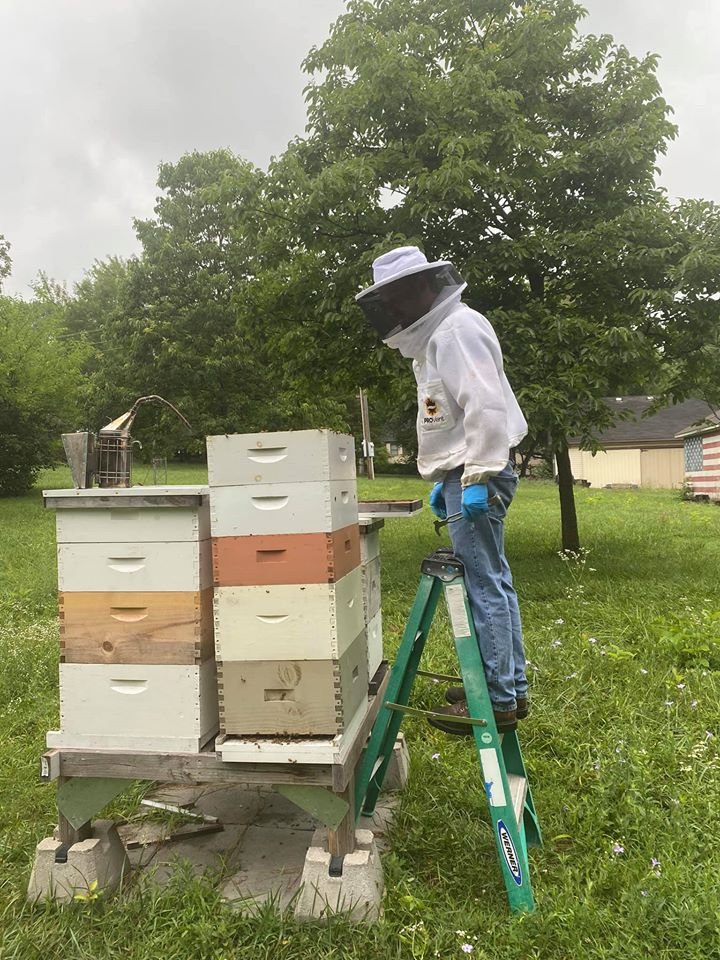 Honey 2020d.jpg