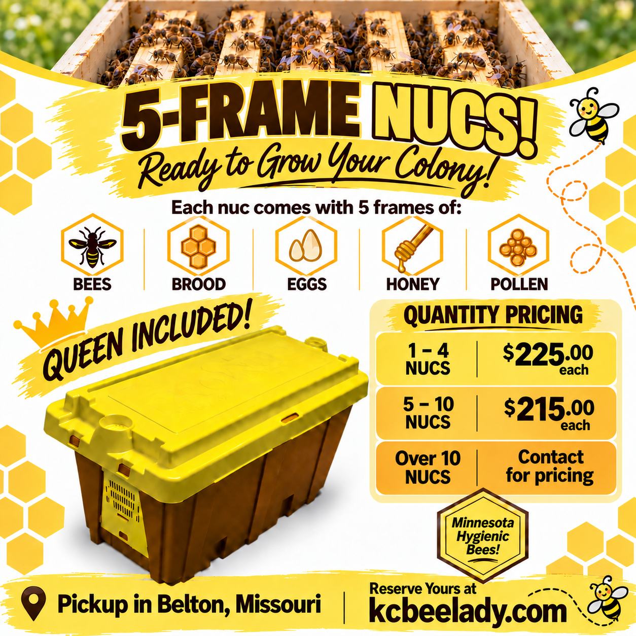 2027 5 frame NUC.png