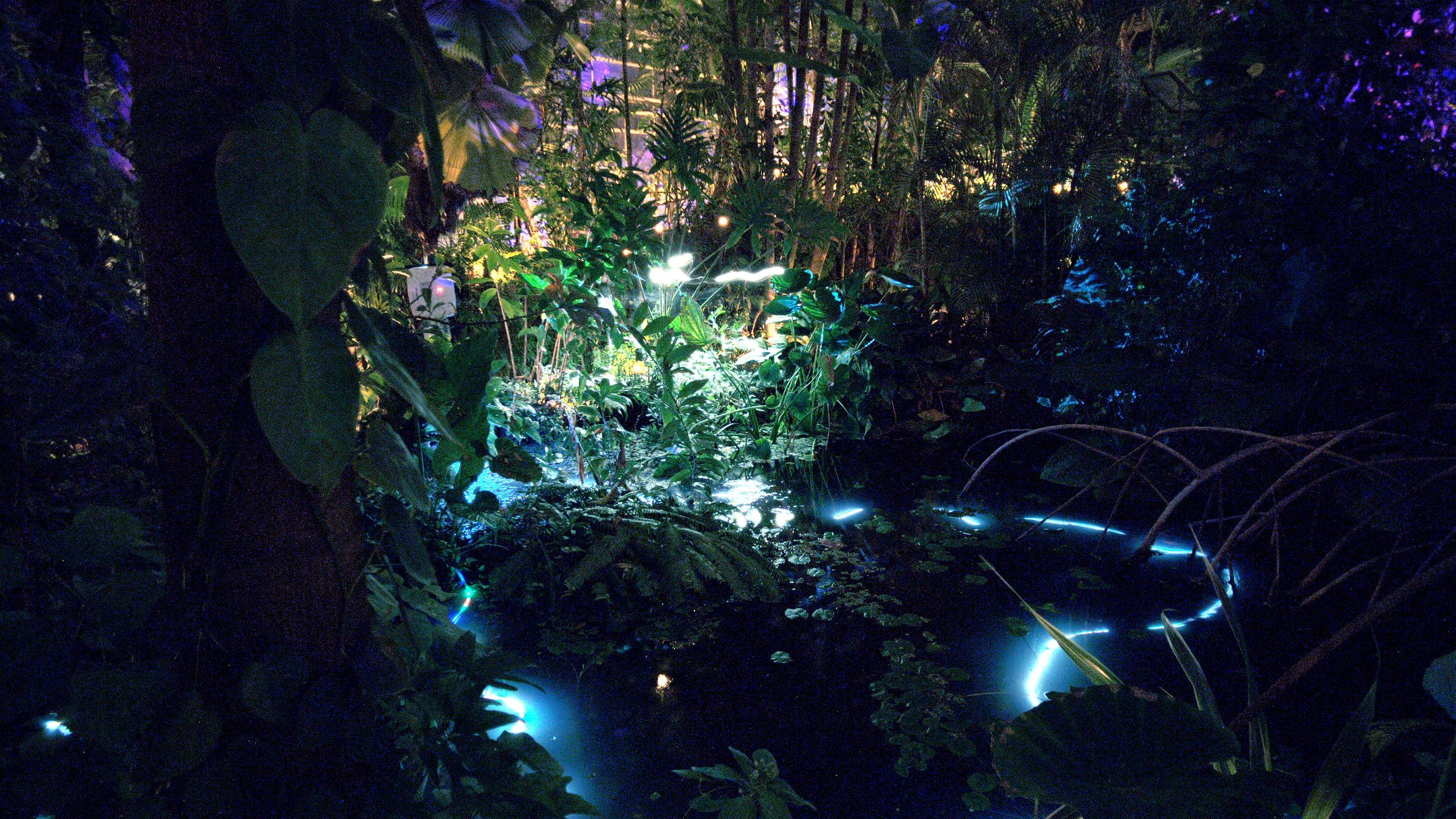 hortus pics2 (1).png