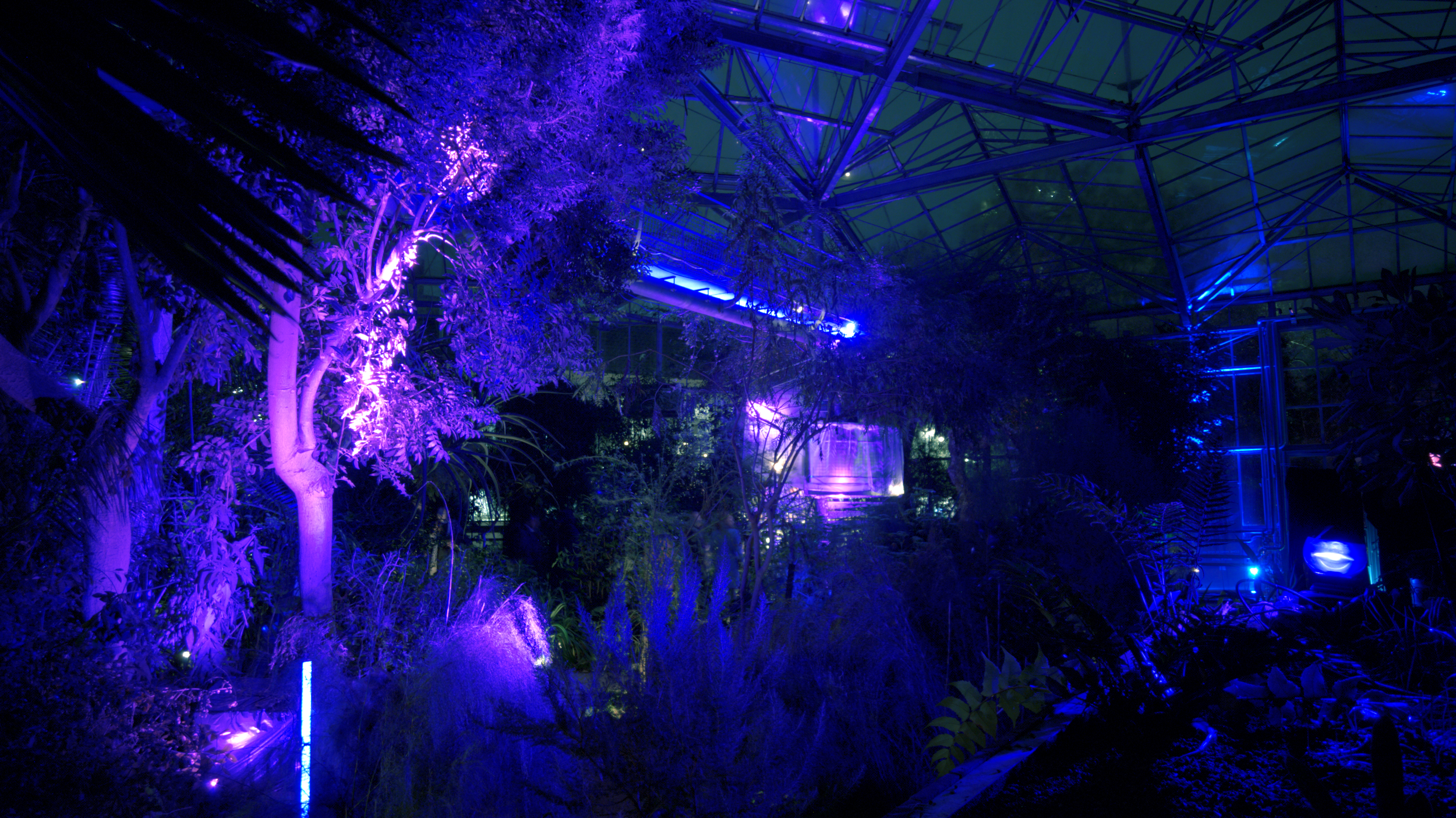 nausicaa karasmanoglou x otherwise collective hortus botanicus.png