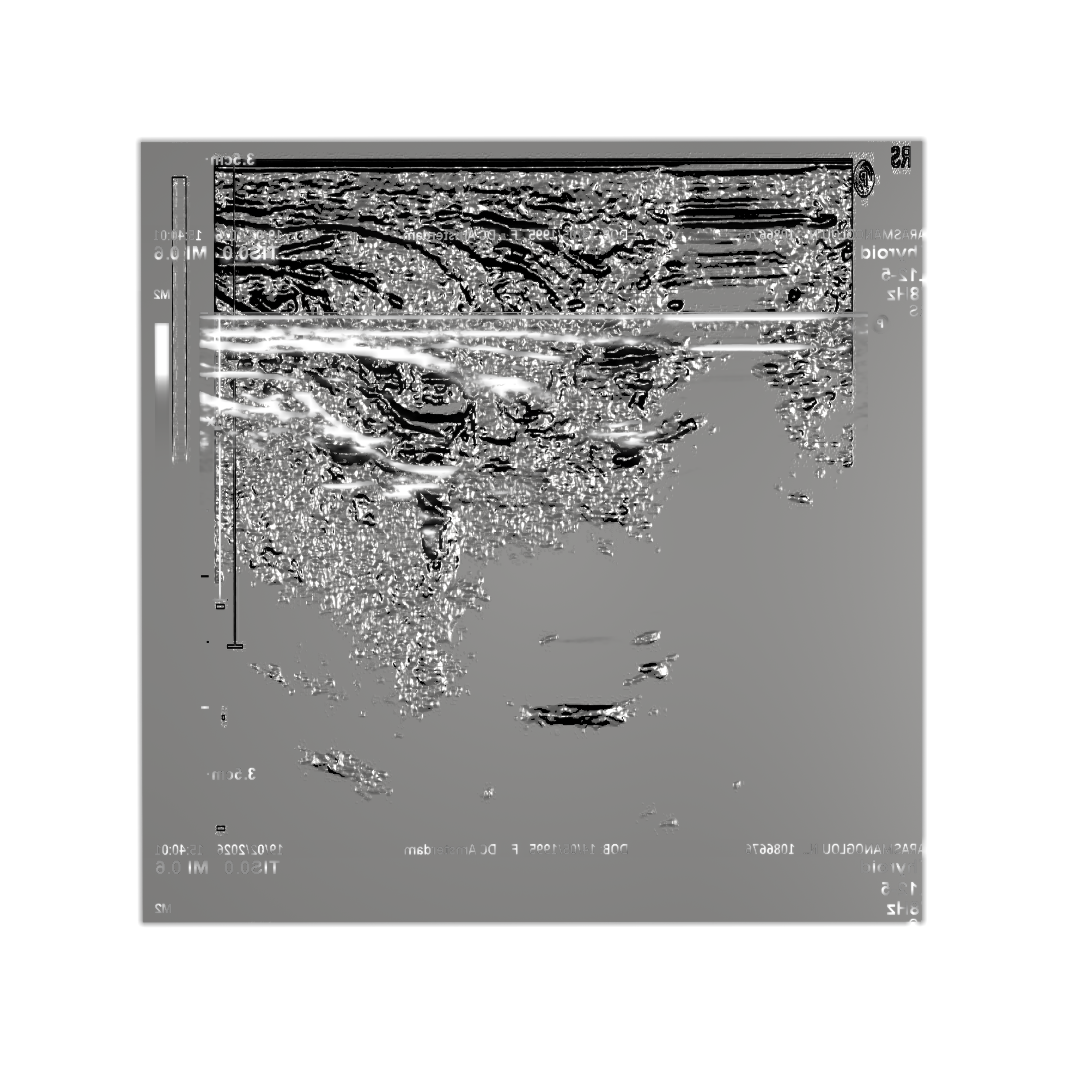 untitled.51.png