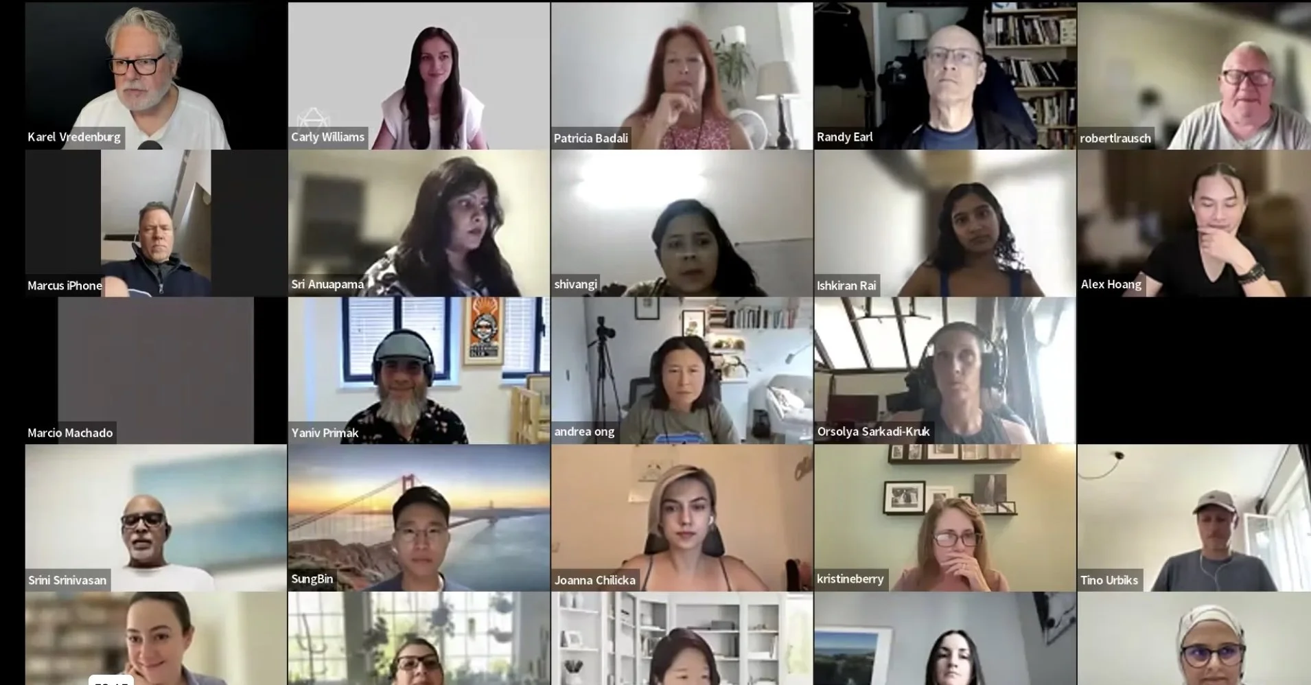 Screenshot of the first meeting of the Habits for a Better World organization.