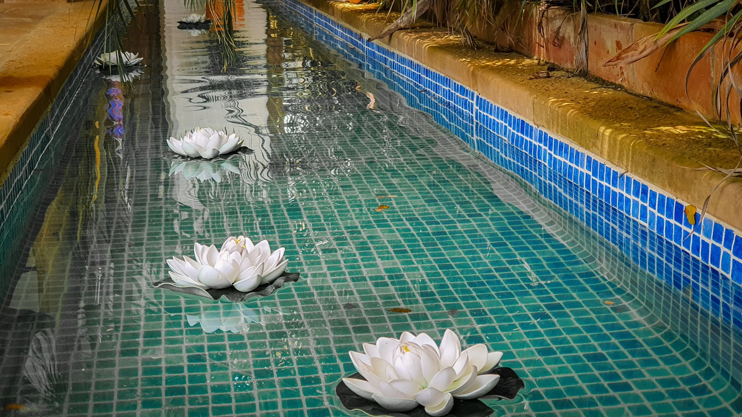 BARI FOT Jardín_Espejo - 13.jpg