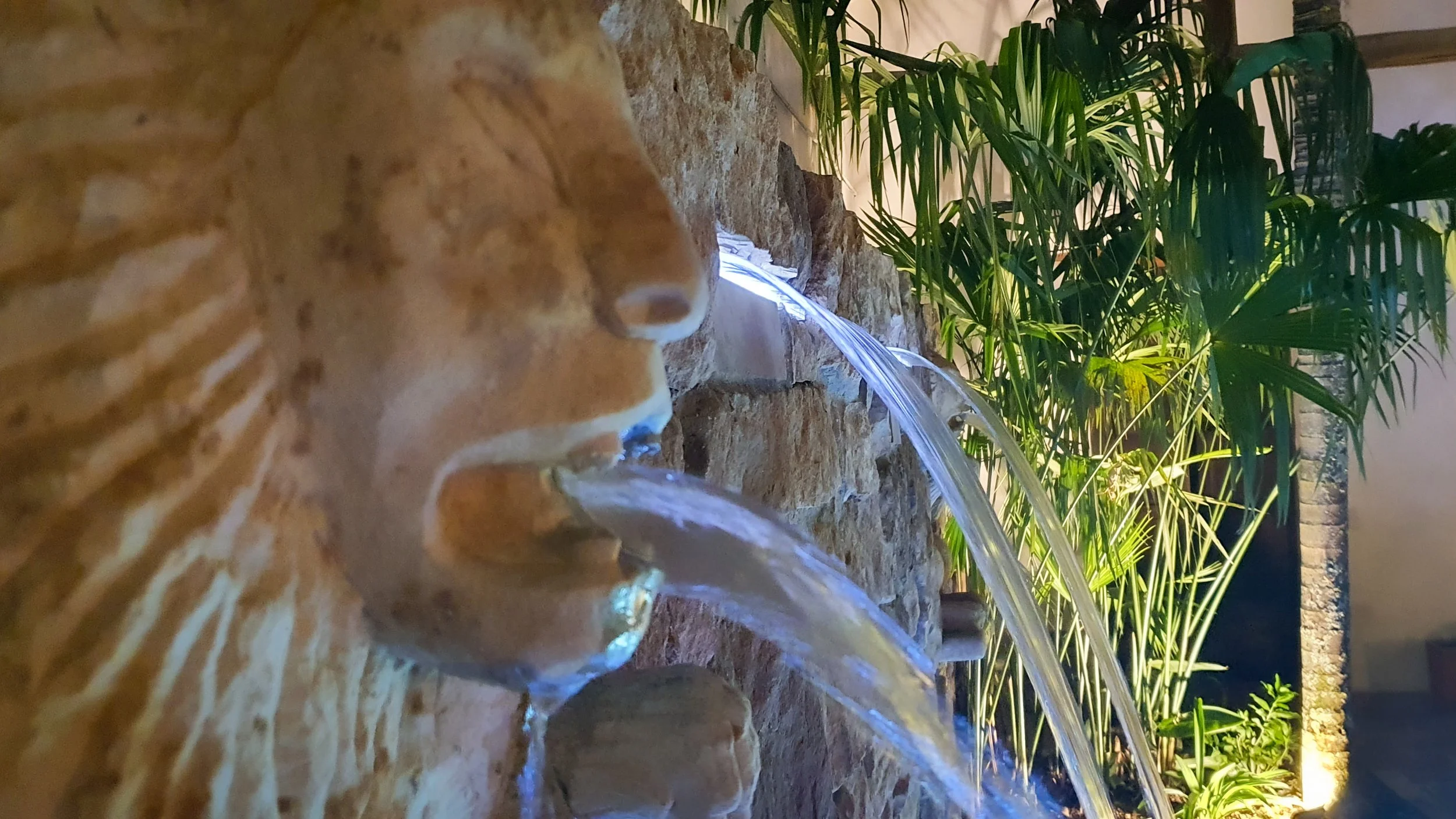 BARI FOT Piscina - 4.jpg