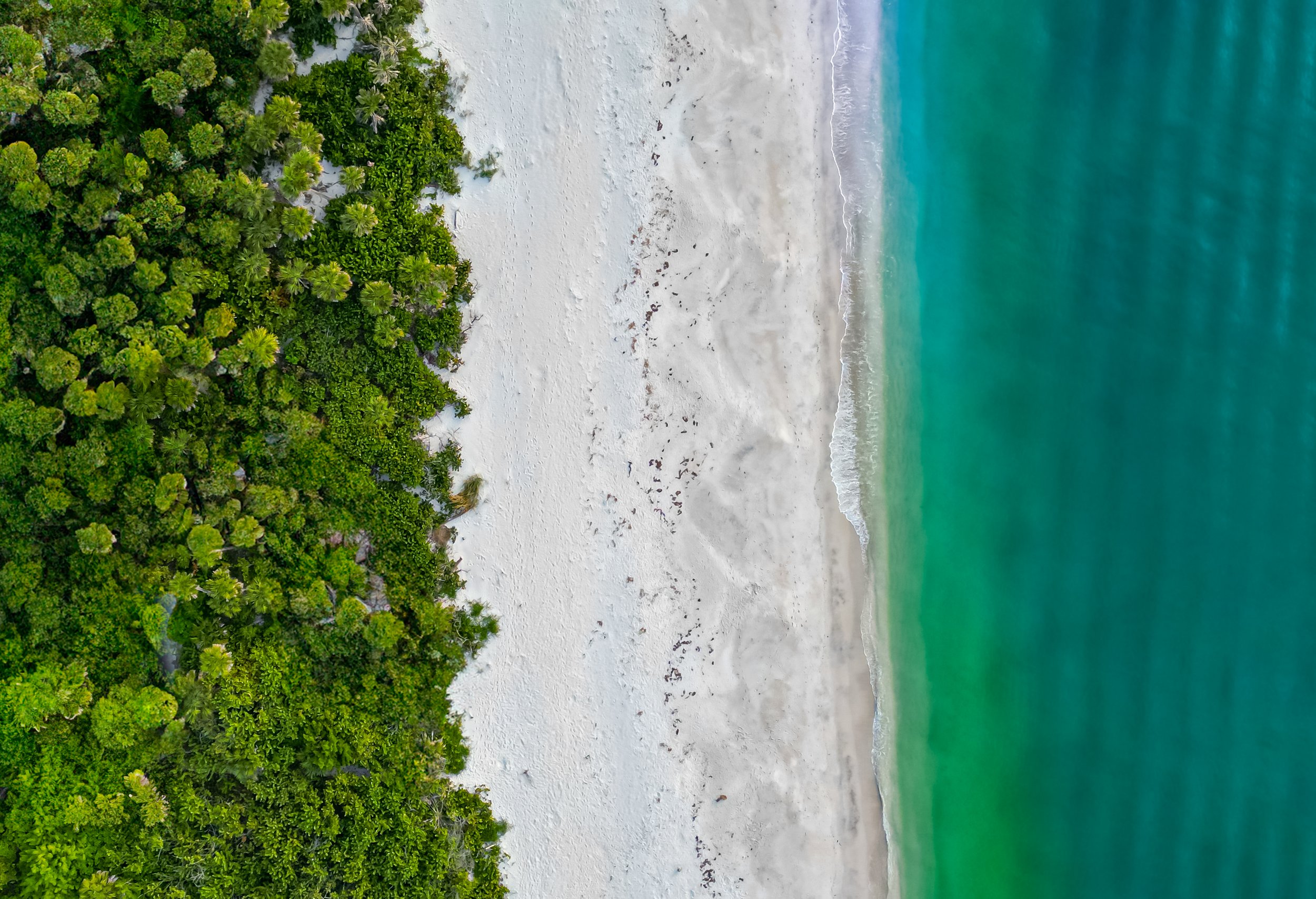 dji_0390-edit.JPG