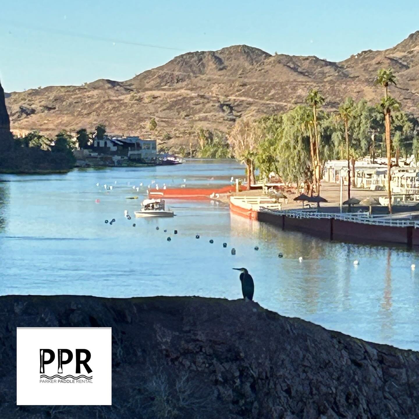 Mixing things up with the cooler weather in the early morning. #smilesformiles #viewsfordays #afternoonpaddle