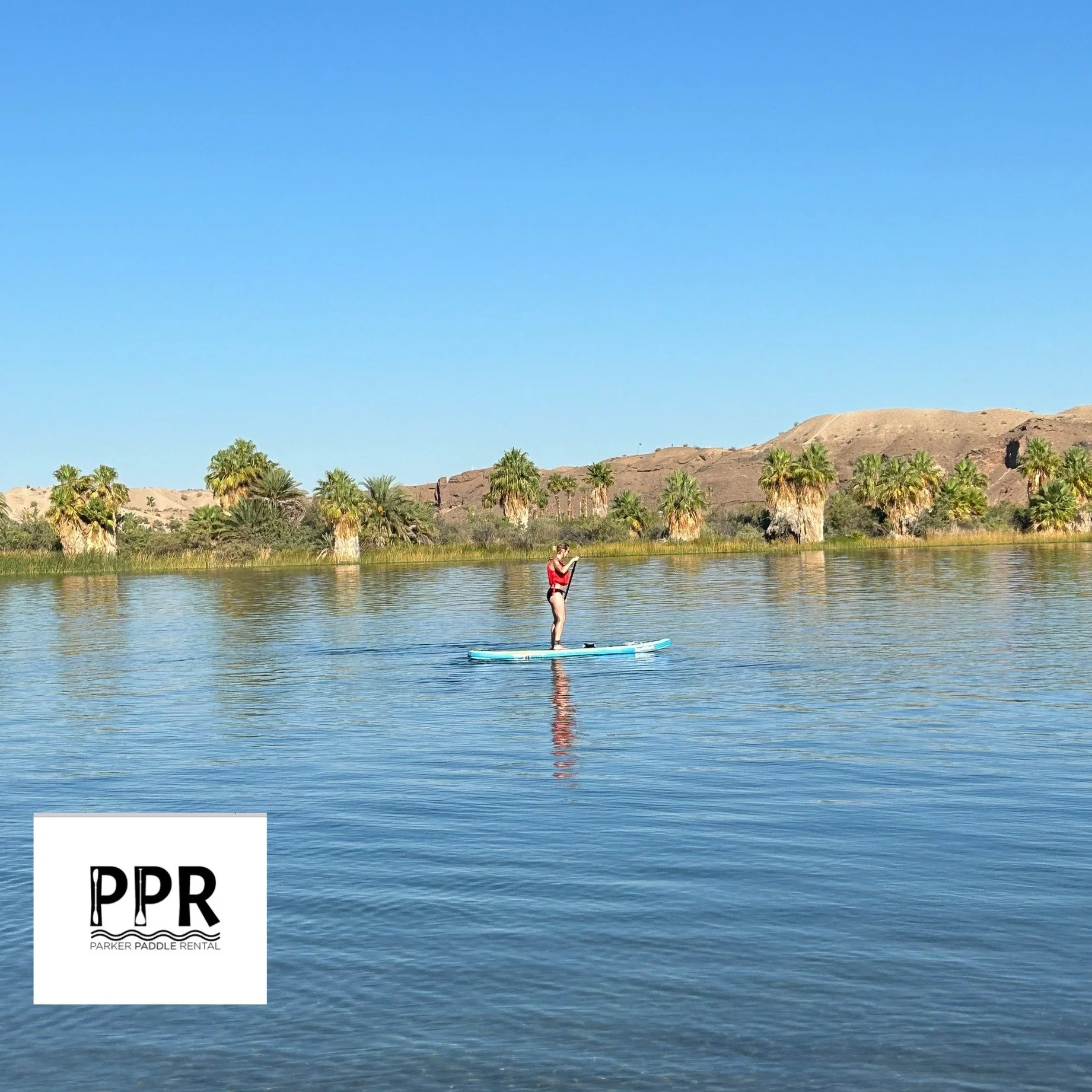 Based in beautiful Lake Havasu City, Parker Paddle Rental provides quality paddleboard &amp; Kayak rentals in Lake Havasu and Parker. Our rentals are available for a full day catering to your specific needs and schedule. To make your adventure even m