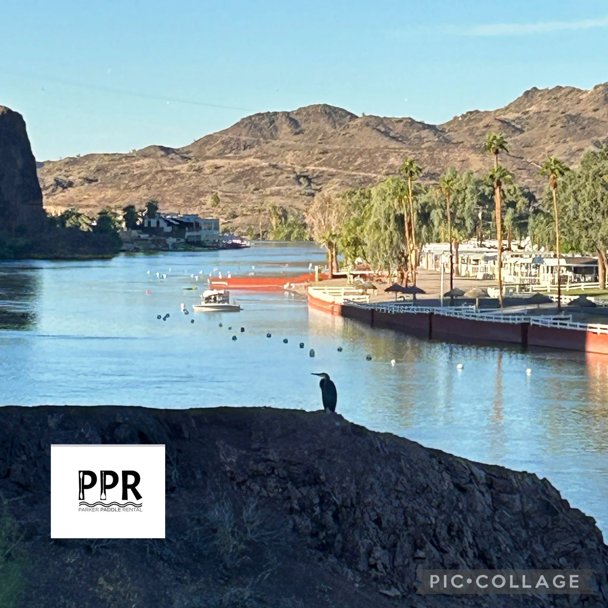Based in beautiful Lake Havasu, Parker Paddle Rental provides quality paddleboard &amp; Kayak rentals in Lake Havasu and Parker. Our rentals are available for a full day catering to your specific needs and schedule. To make your adventure even more e