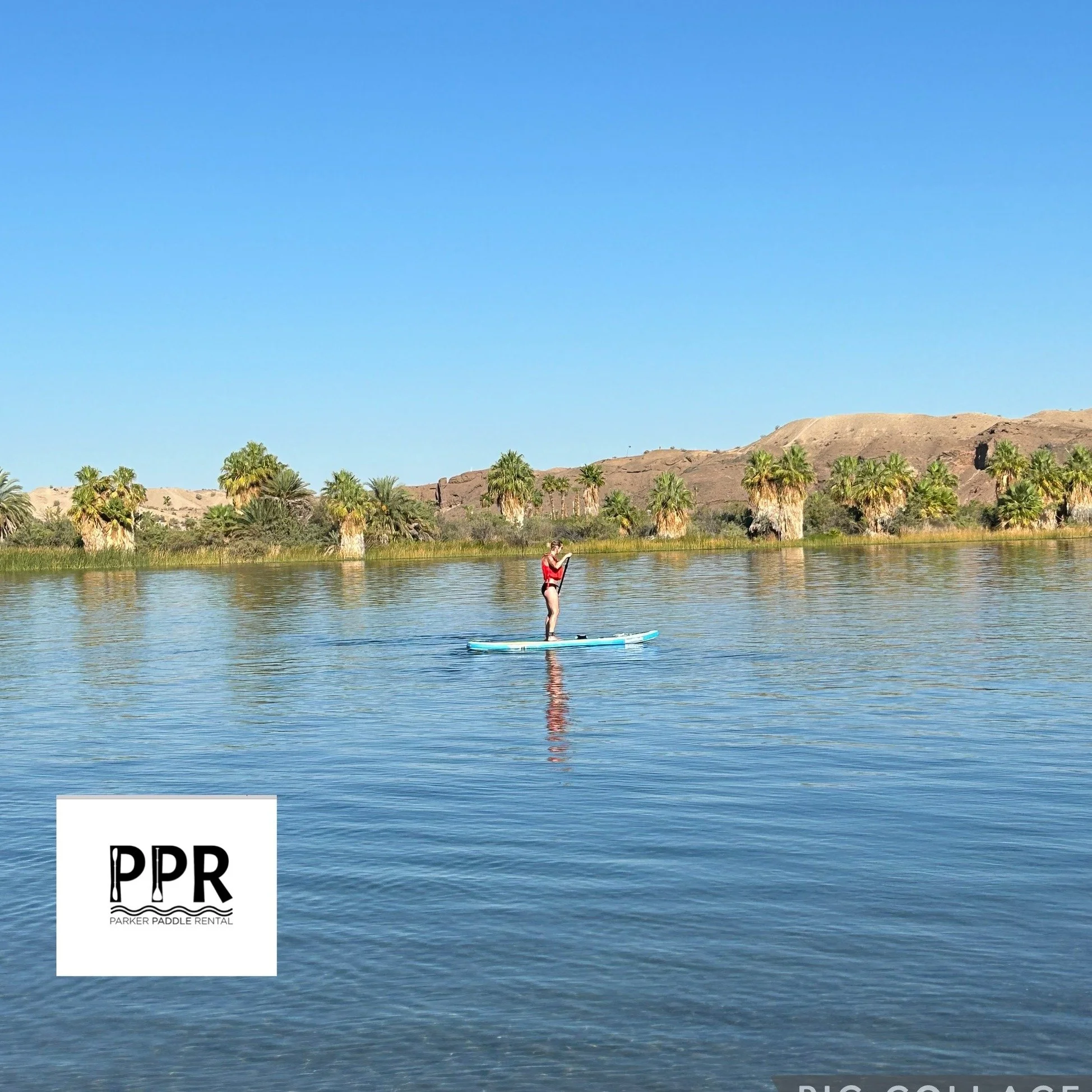 Based in beautiful Lake Havasu,
Parker Paddle Rental provides quality paddleboard &amp;
Kayak rentals in both Lake Havasu and Parker. Our rentals
are a flat rate for the day or multiple days. Paddle when
and where you want for one low price!
To make 