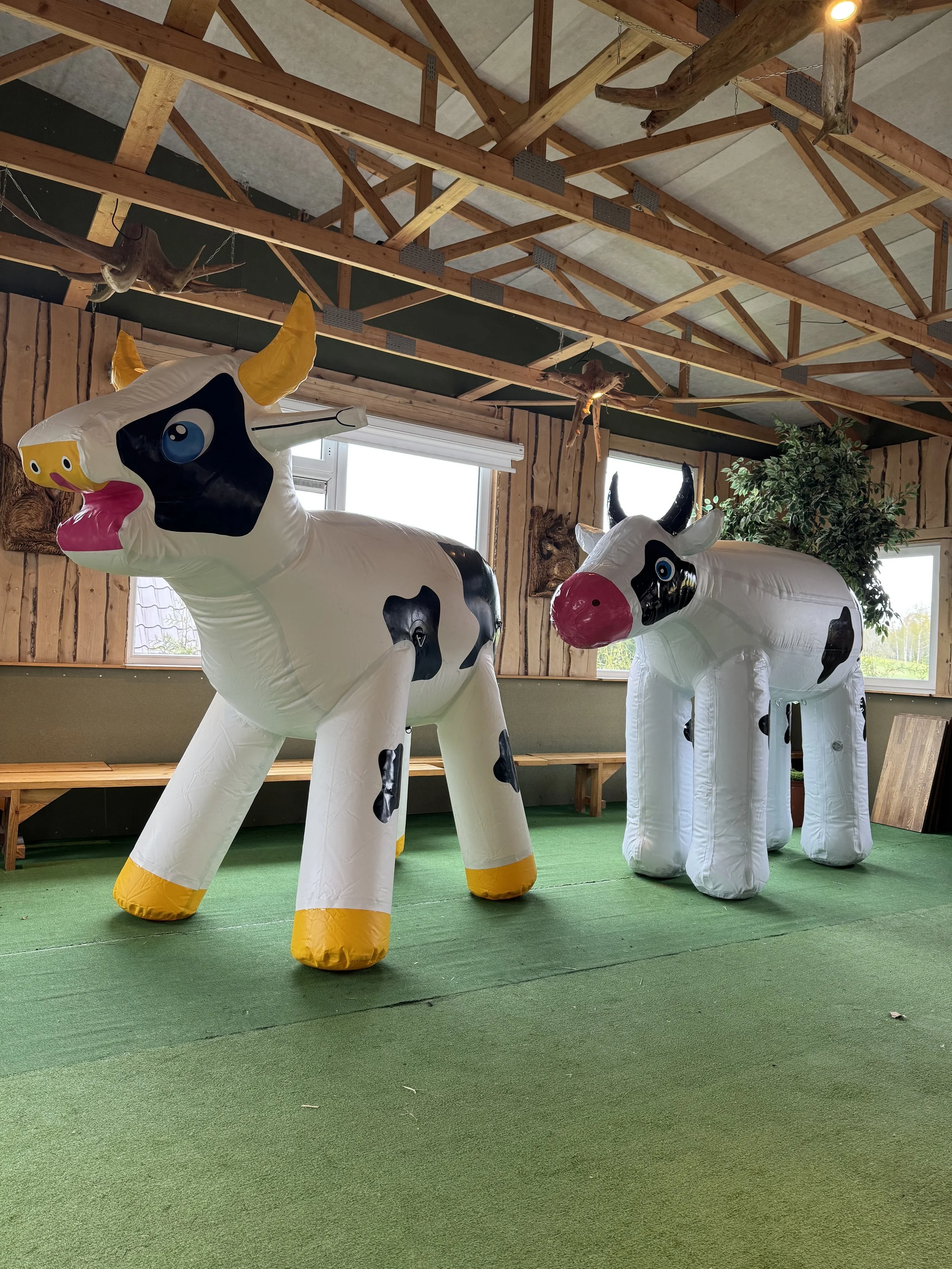 Lüpsilehma mäng | Lõbus taluteemaline atraktsioon lastele ja peredele