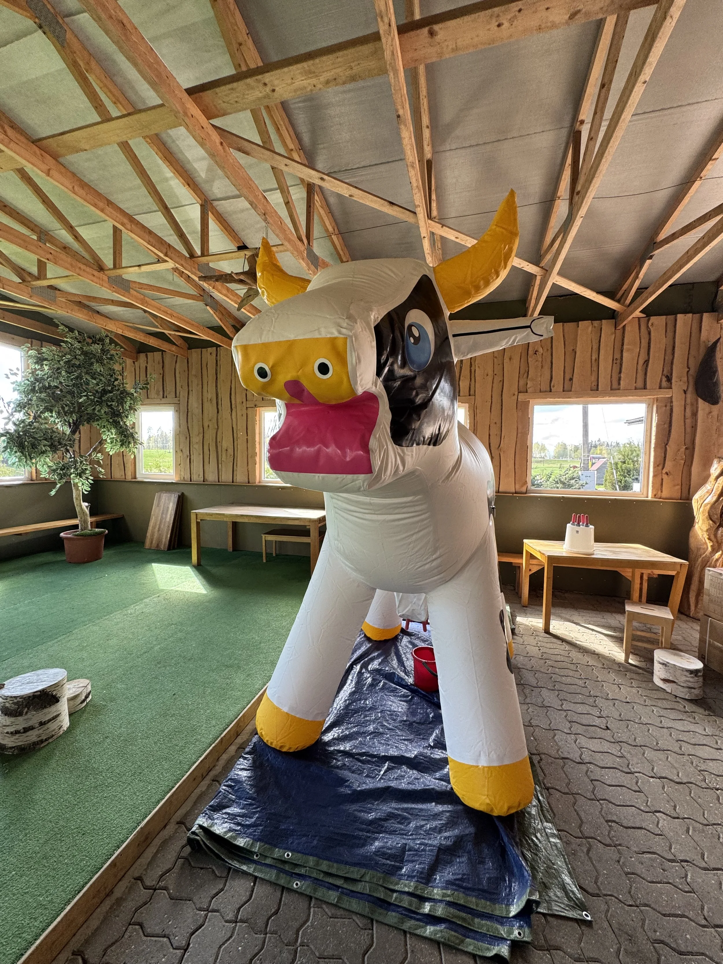 Lüpsilehma mäng | Lõbus taluteemaline atraktsioon lastele ja peredele