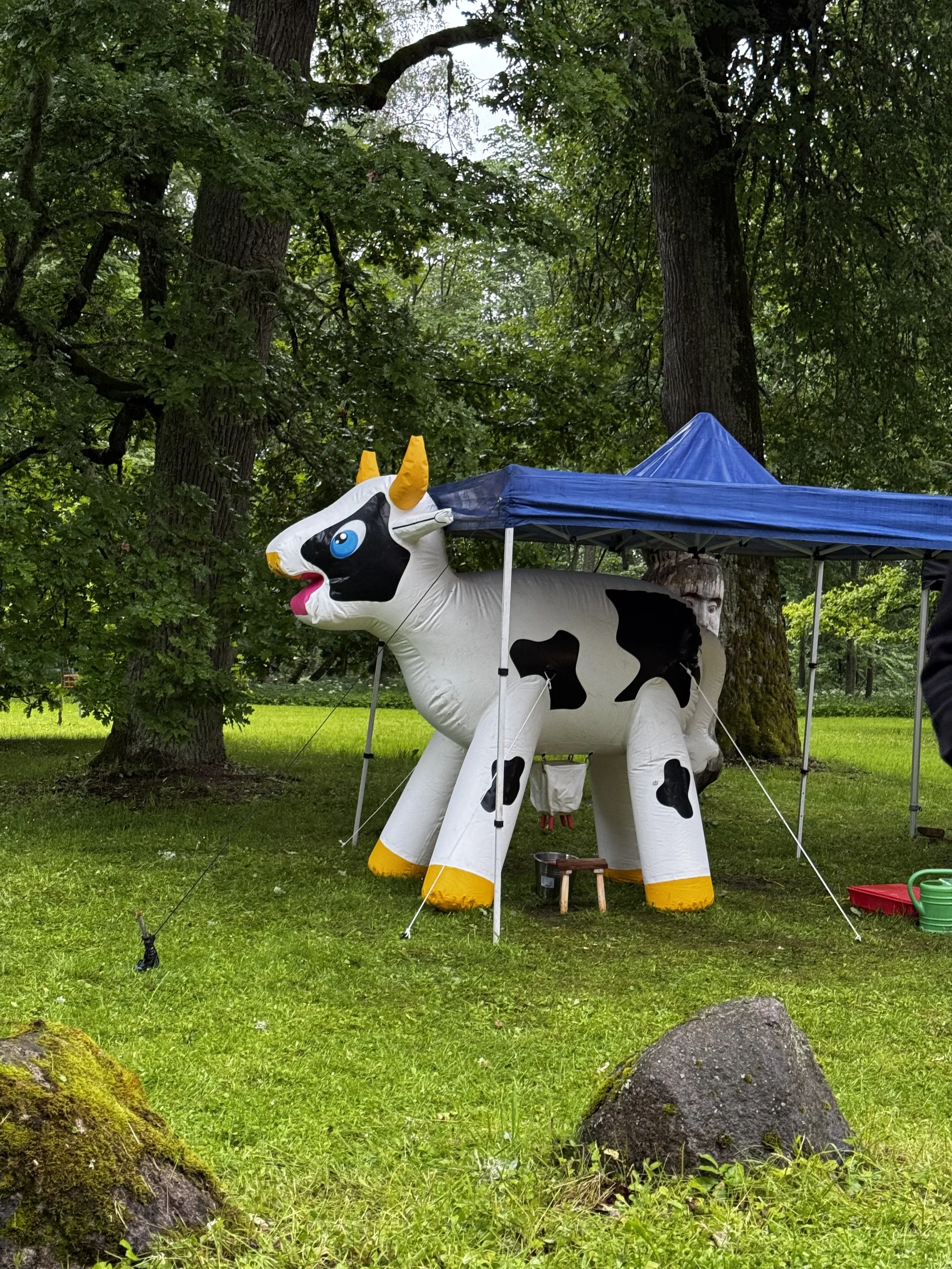 Lüpsilehma mäng | Lõbus taluteemaline atraktsioon lastele ja peredele