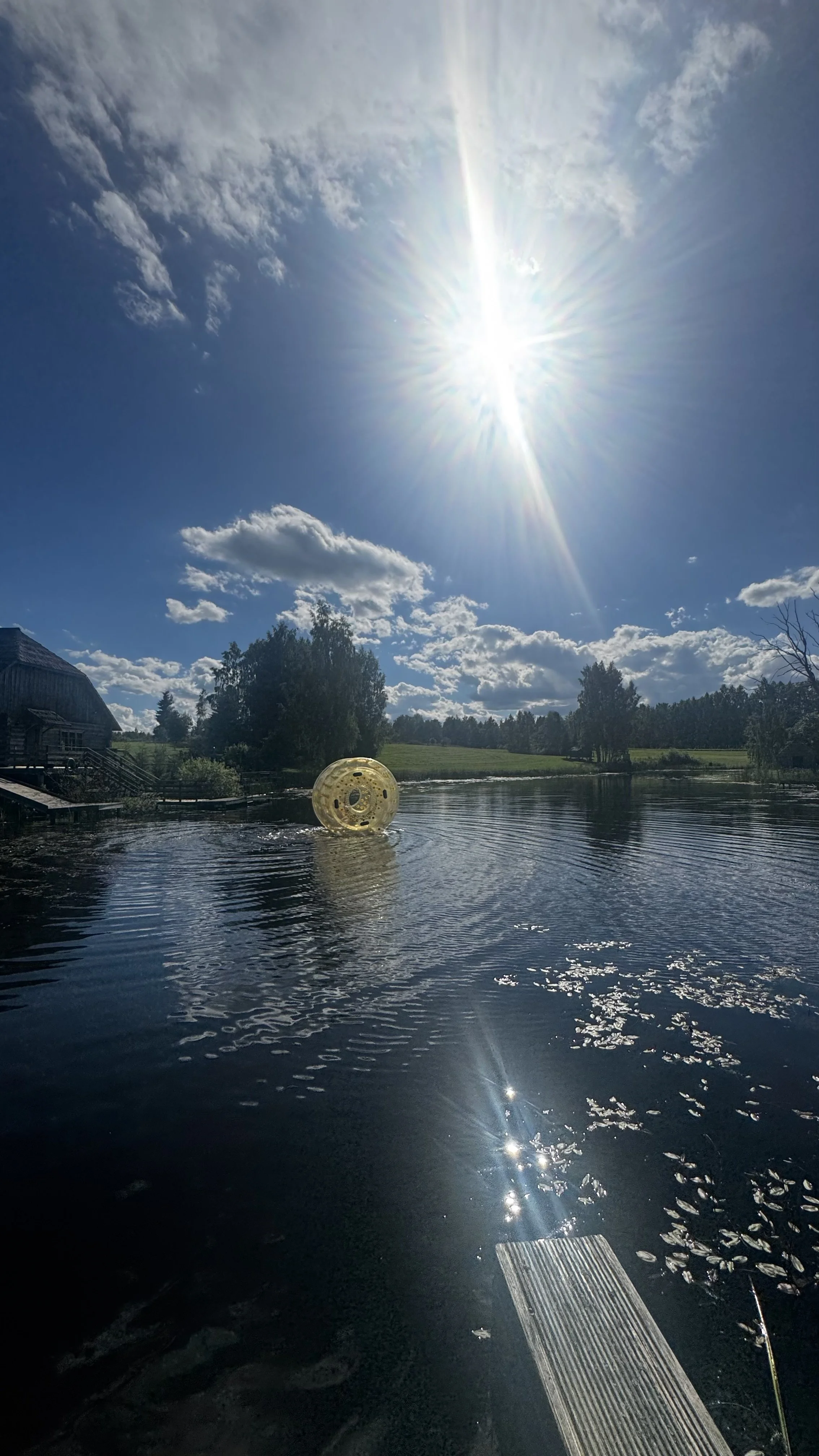 IMG_3357.jpeg