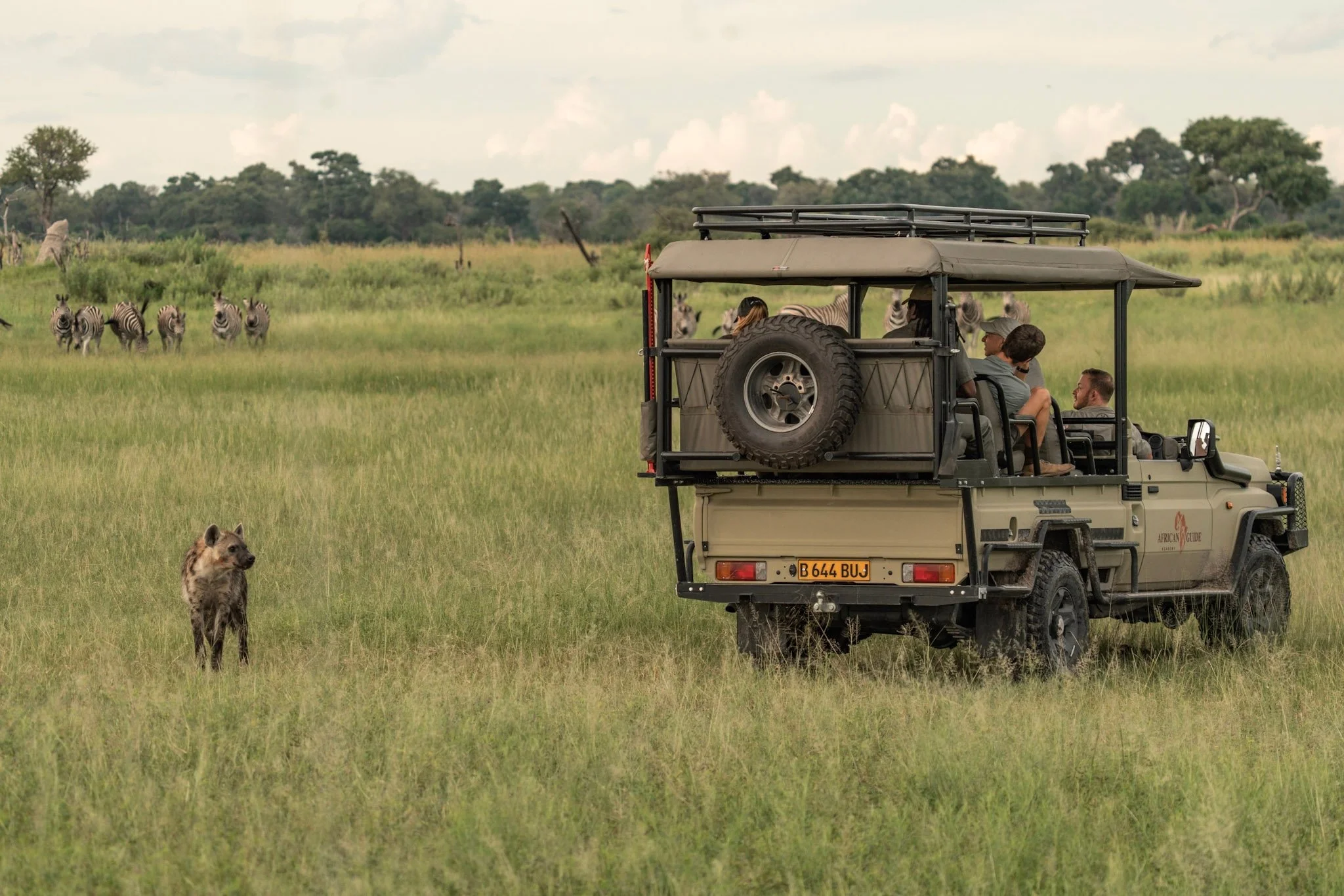 Travel Ass Designer Tours