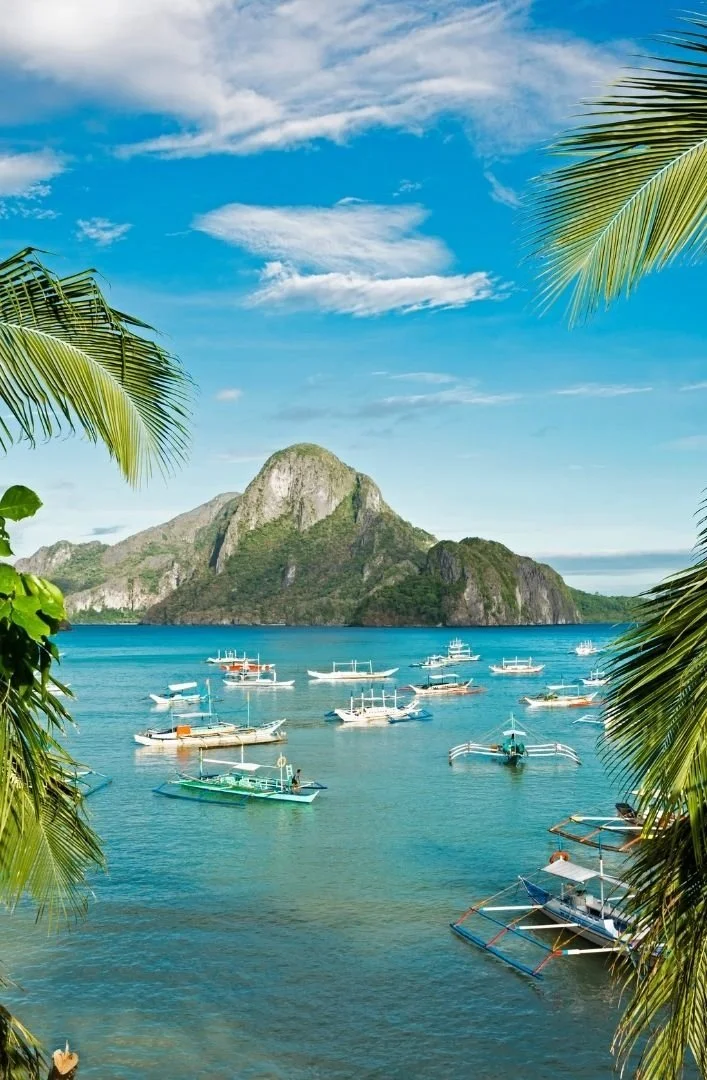 Tropical scene with blue water, numerous boats, and green hills with a mountain in the background, framed by palm leaves.