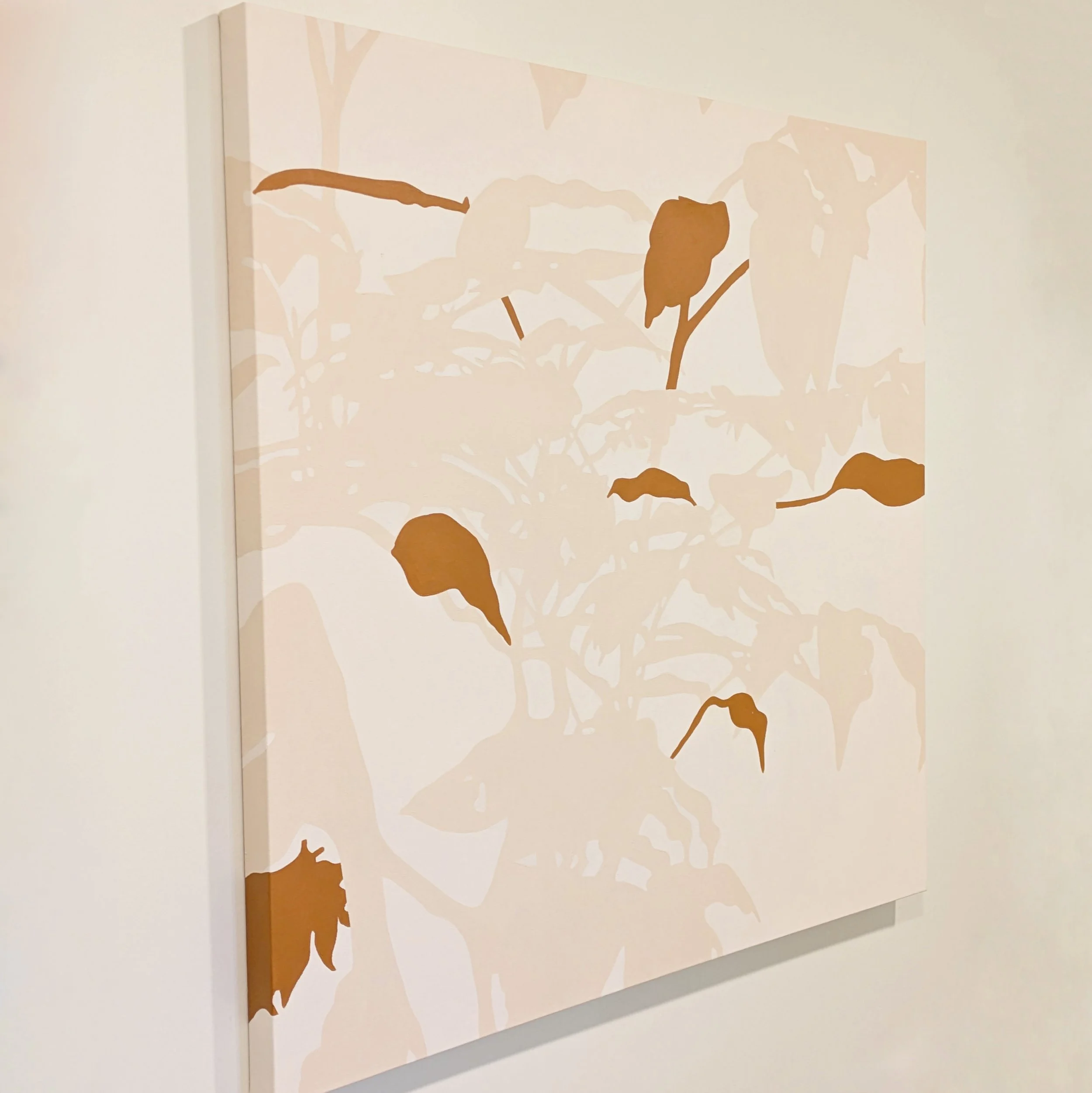 white square 2.jpg