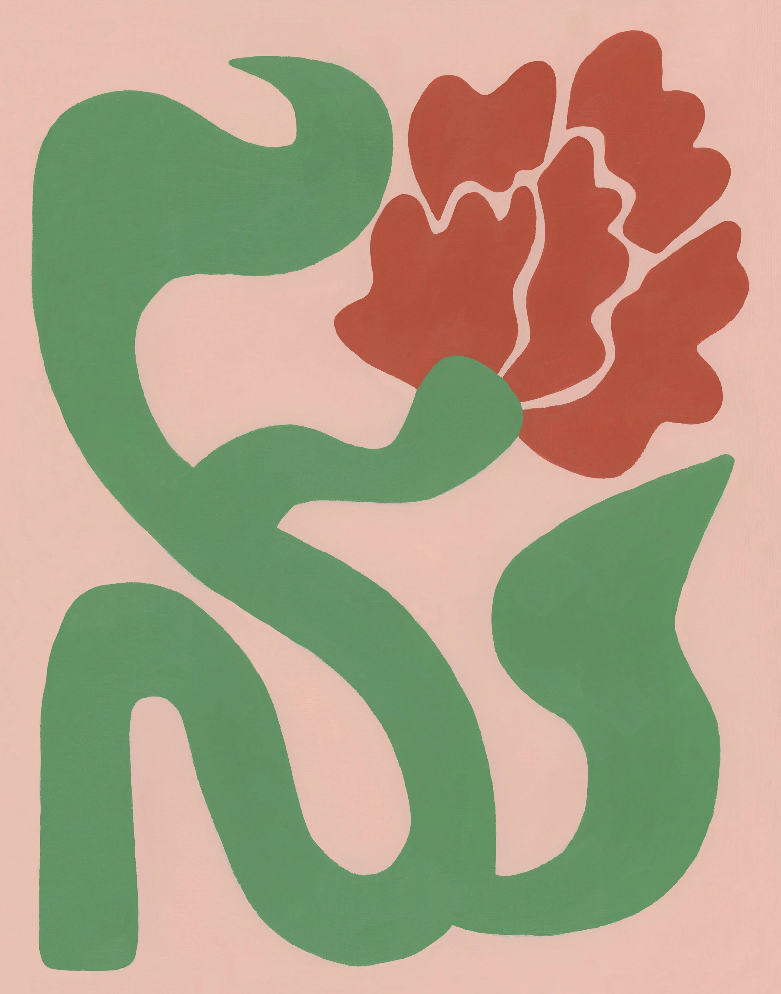 january carnation 300dpi edited.jpg