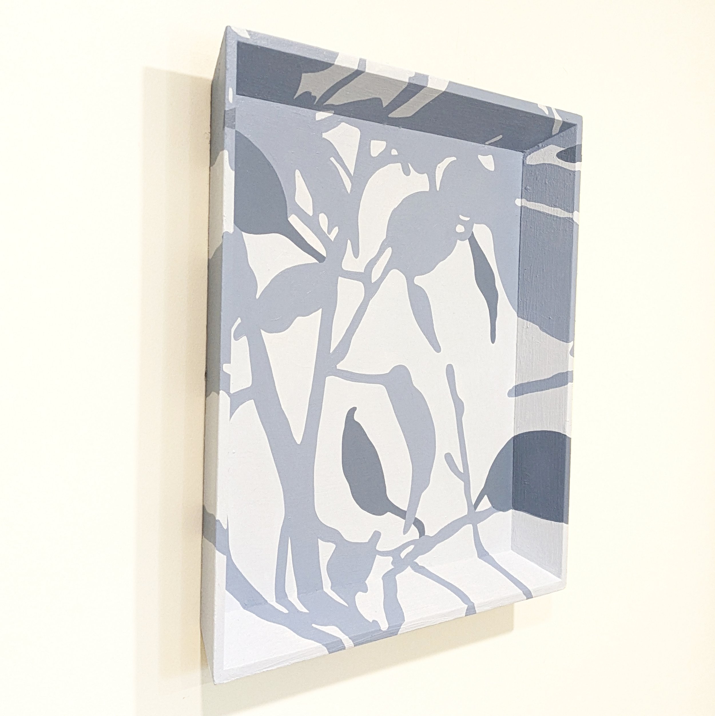square ficus 2.jpg