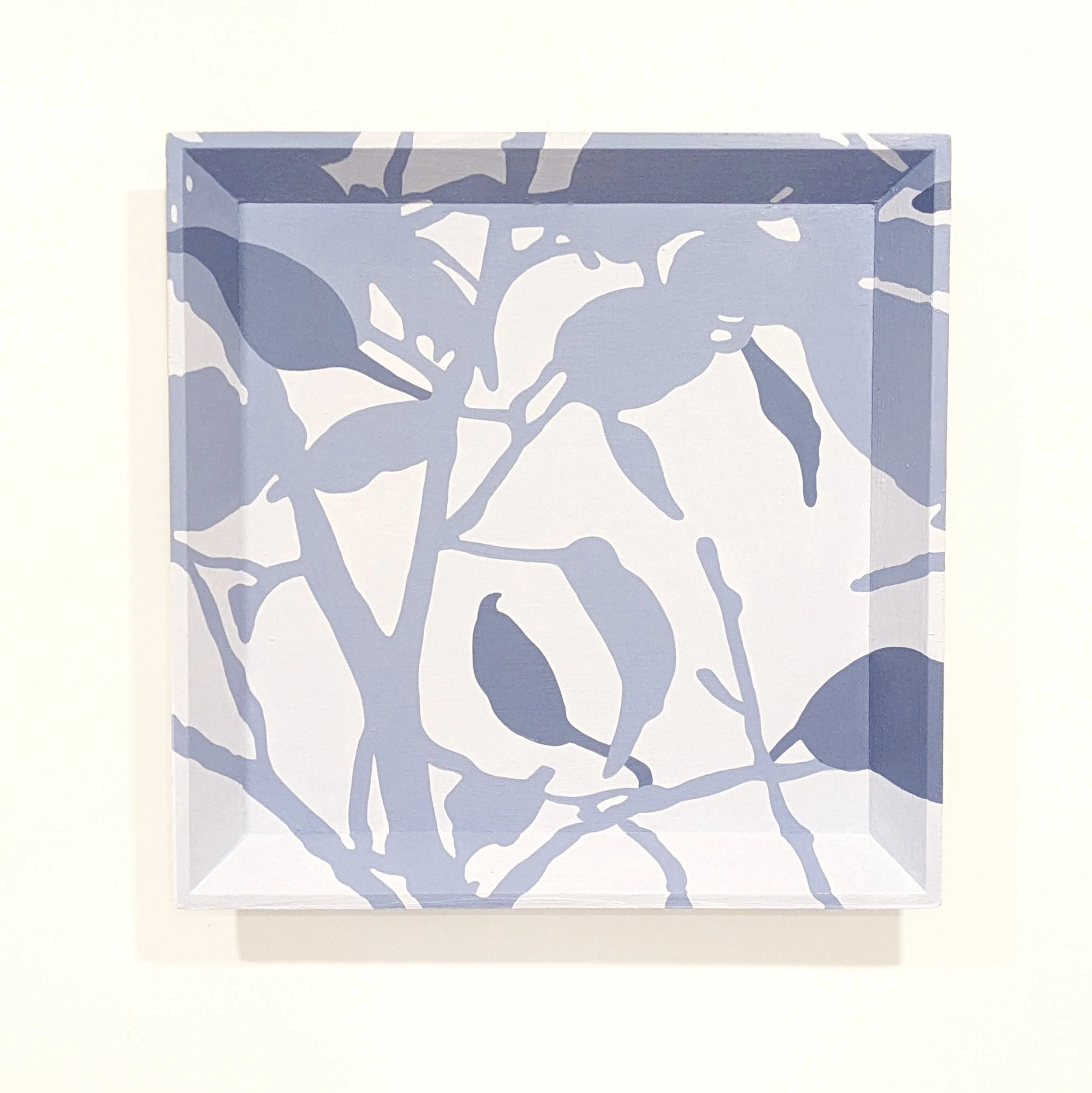 square ficus 1.jpg