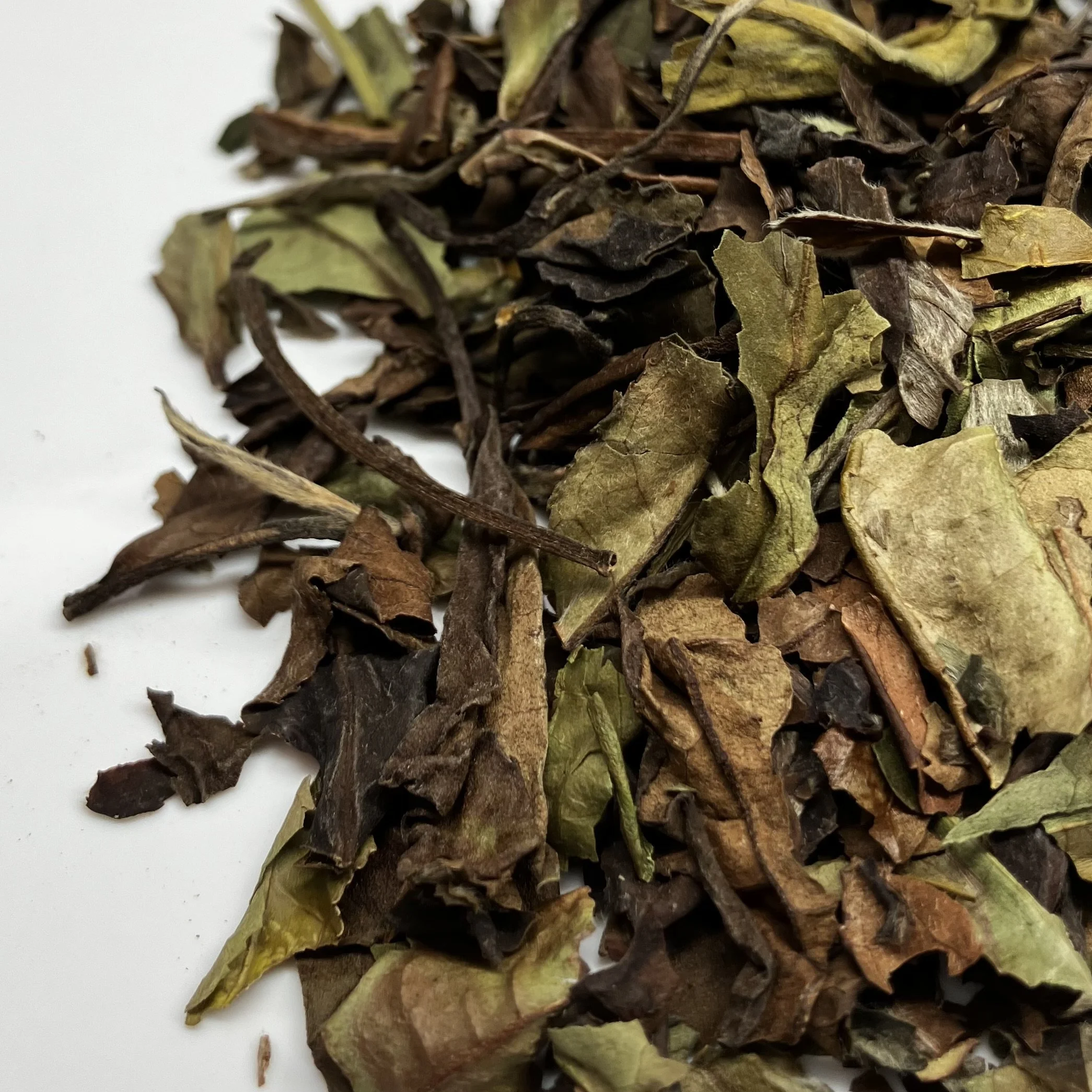 Organic Pai Mu Tan White Tea